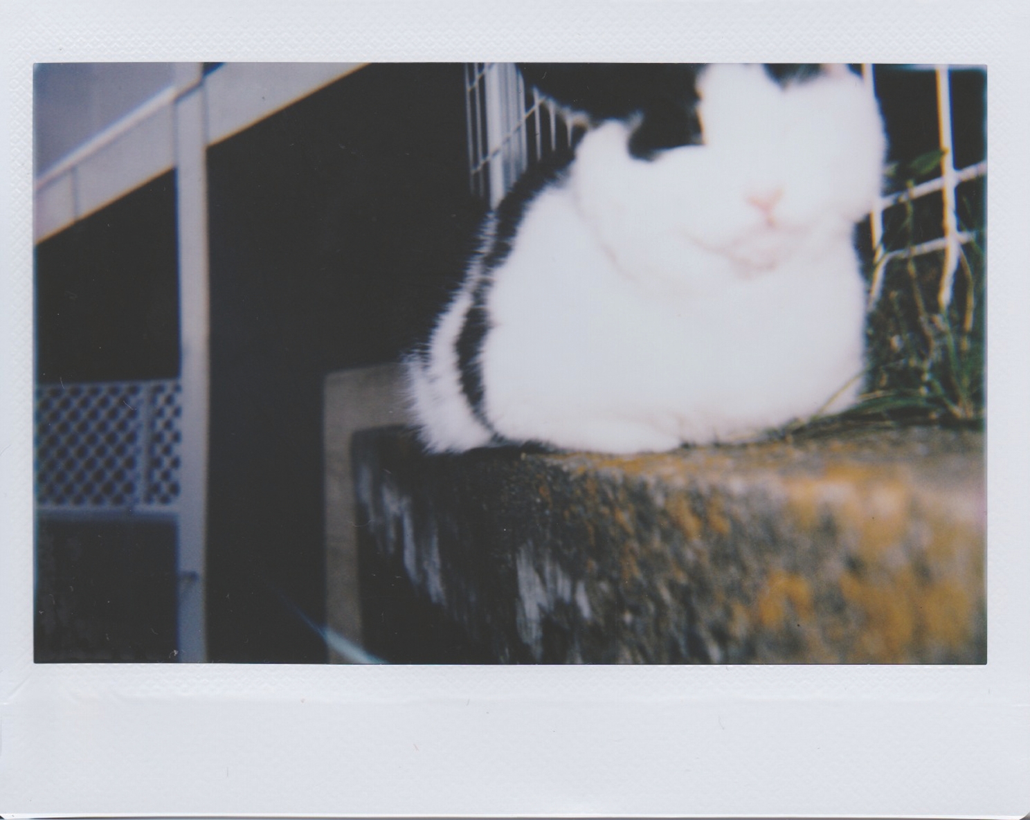 ファインダーを覗いたままに撮ると……ズレが生じます