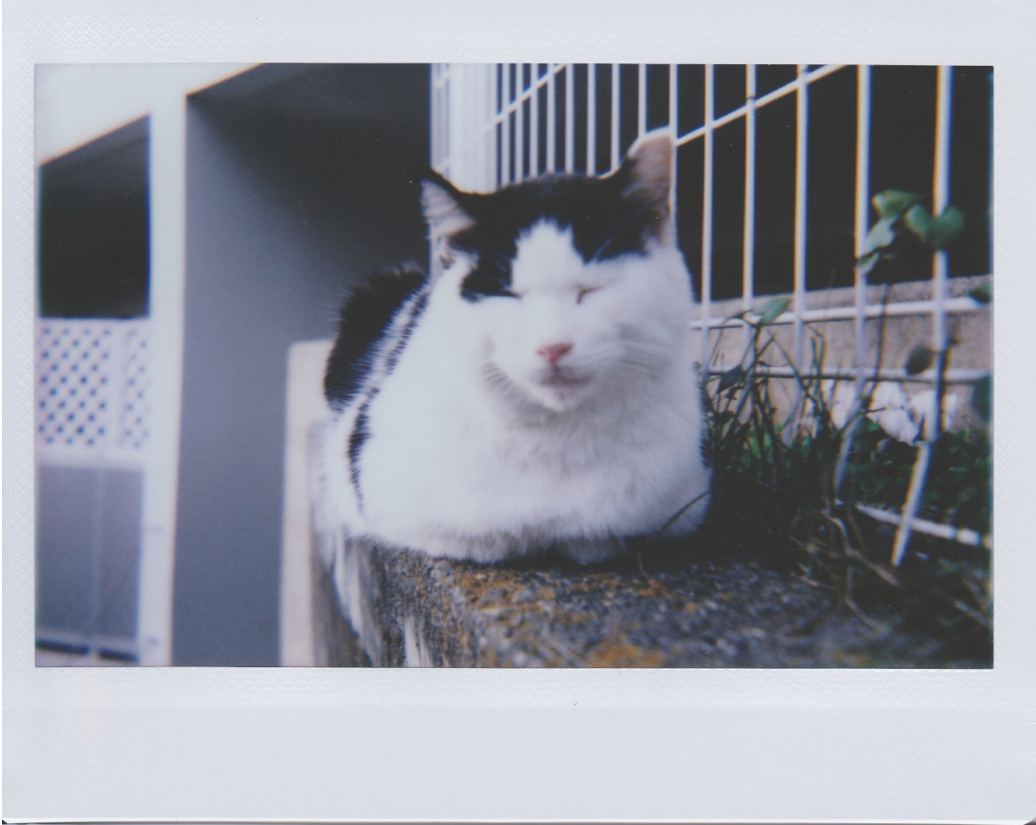 視差を意識して撮ると……ズレずに撮れました