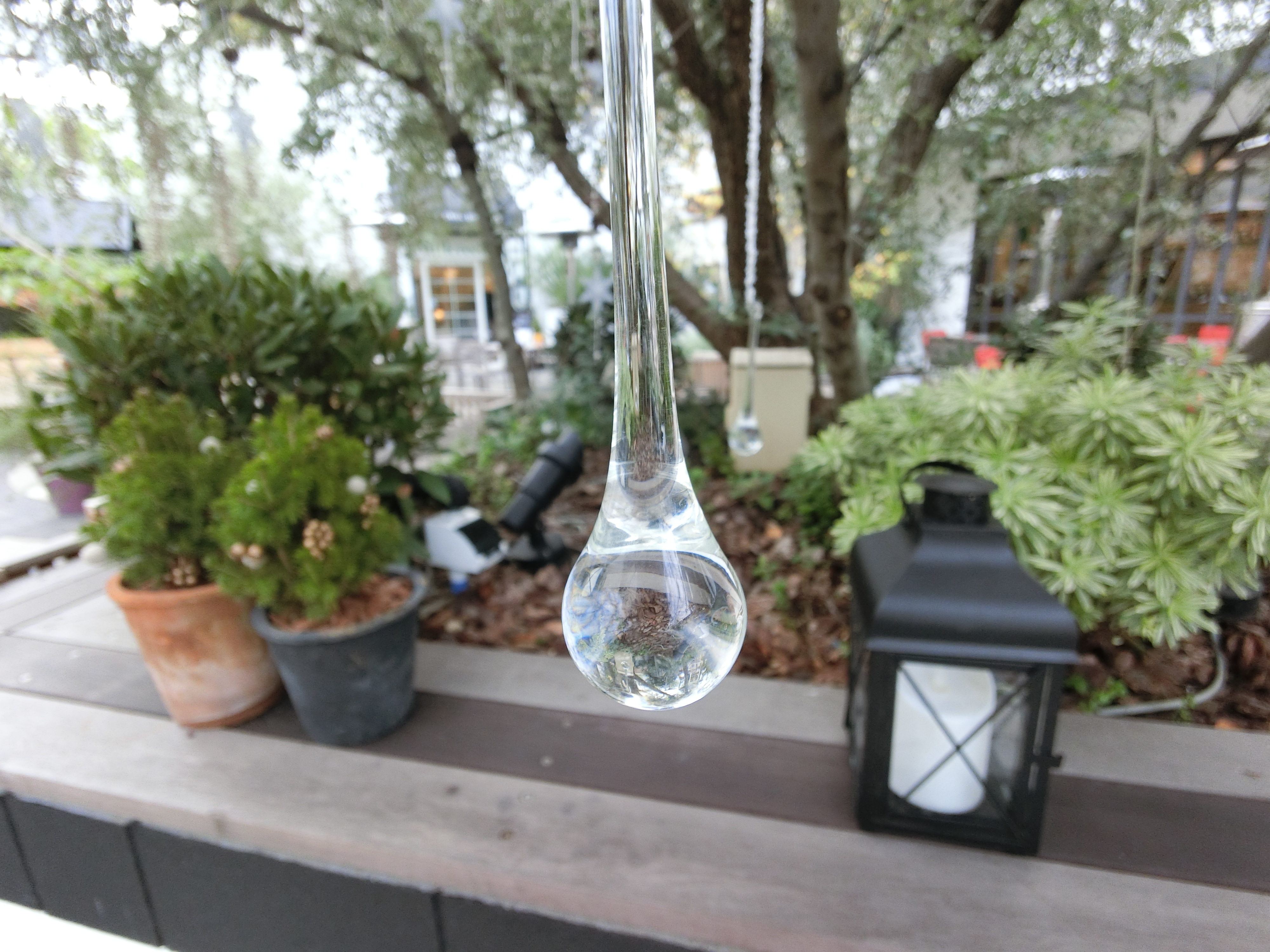 EX-FR100 / 4,000×3,000 / ISO160 / F2.8 / 1/100秒