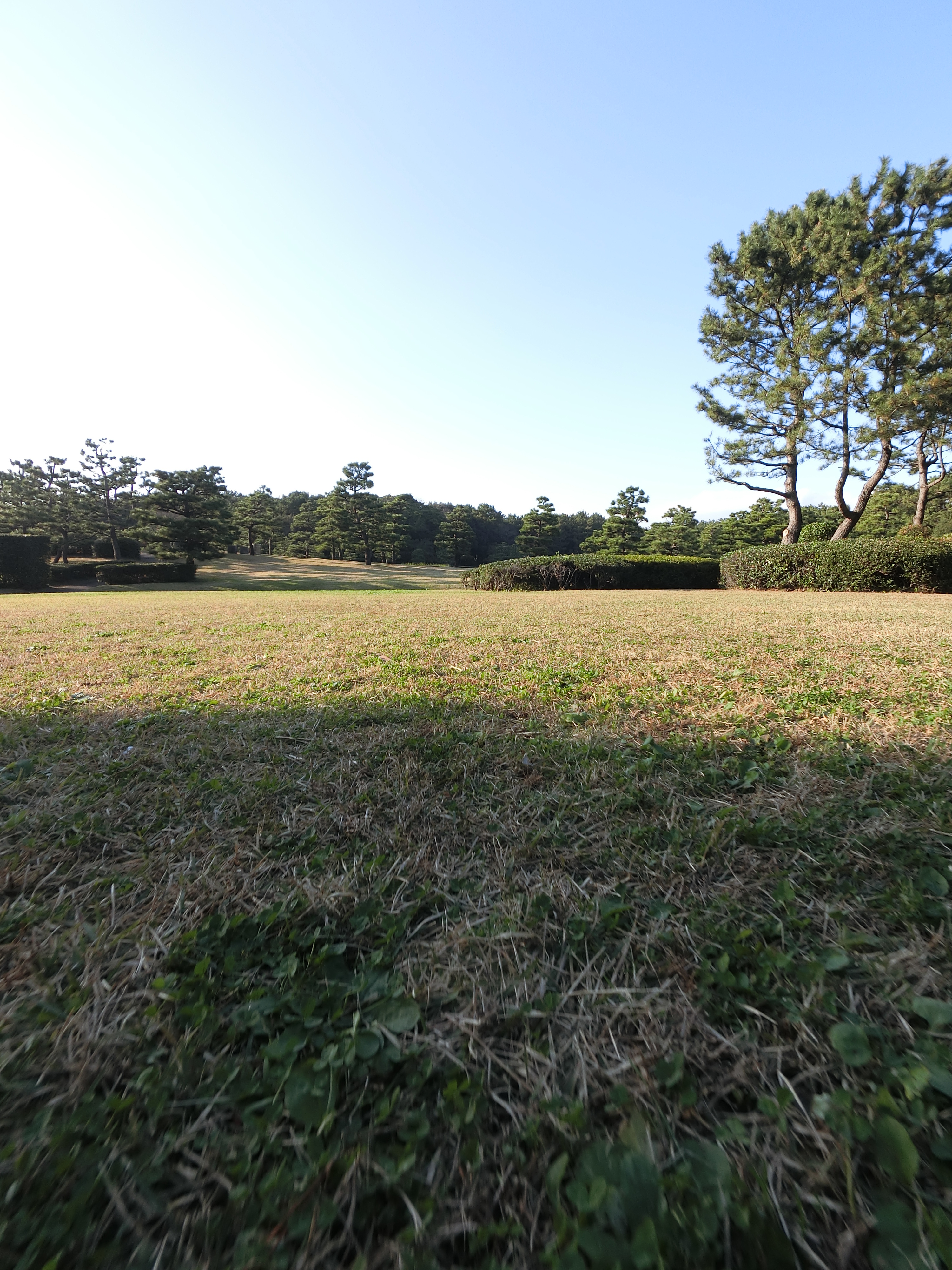 EX-FR100 / 3,000×4,000 / ISO64 / F2.8 / 1/320秒