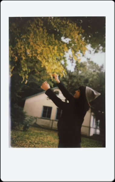 作例（ビーハーフ提供）