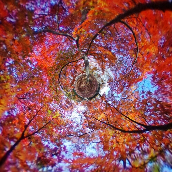 スマートフォン用の編集アプリ「THETA+」でビューをLittle Planetに変換後、Snapseedで彩度とコントラストを調整。通常の超広角とはまるで異なる映像表現が楽しめる