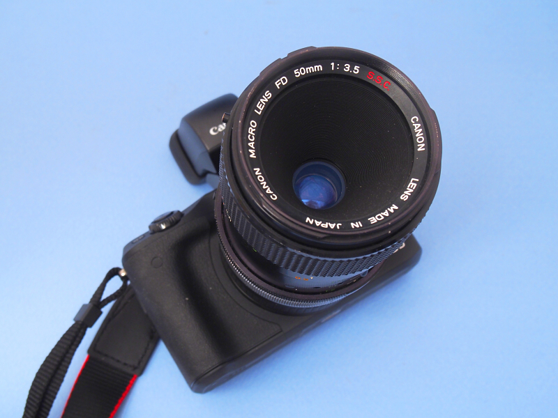 奥まった位置に小さなレンズが見える構造は、MF時代のマクロレンズとして標準的な仕様だ。レンズ銘板「S.S.C」の赤字は「スーパースペクトラコーティング」の略で、色の抜けがよく逆光に強いことを示している。描写も絞り開放からシャープなレンズだ