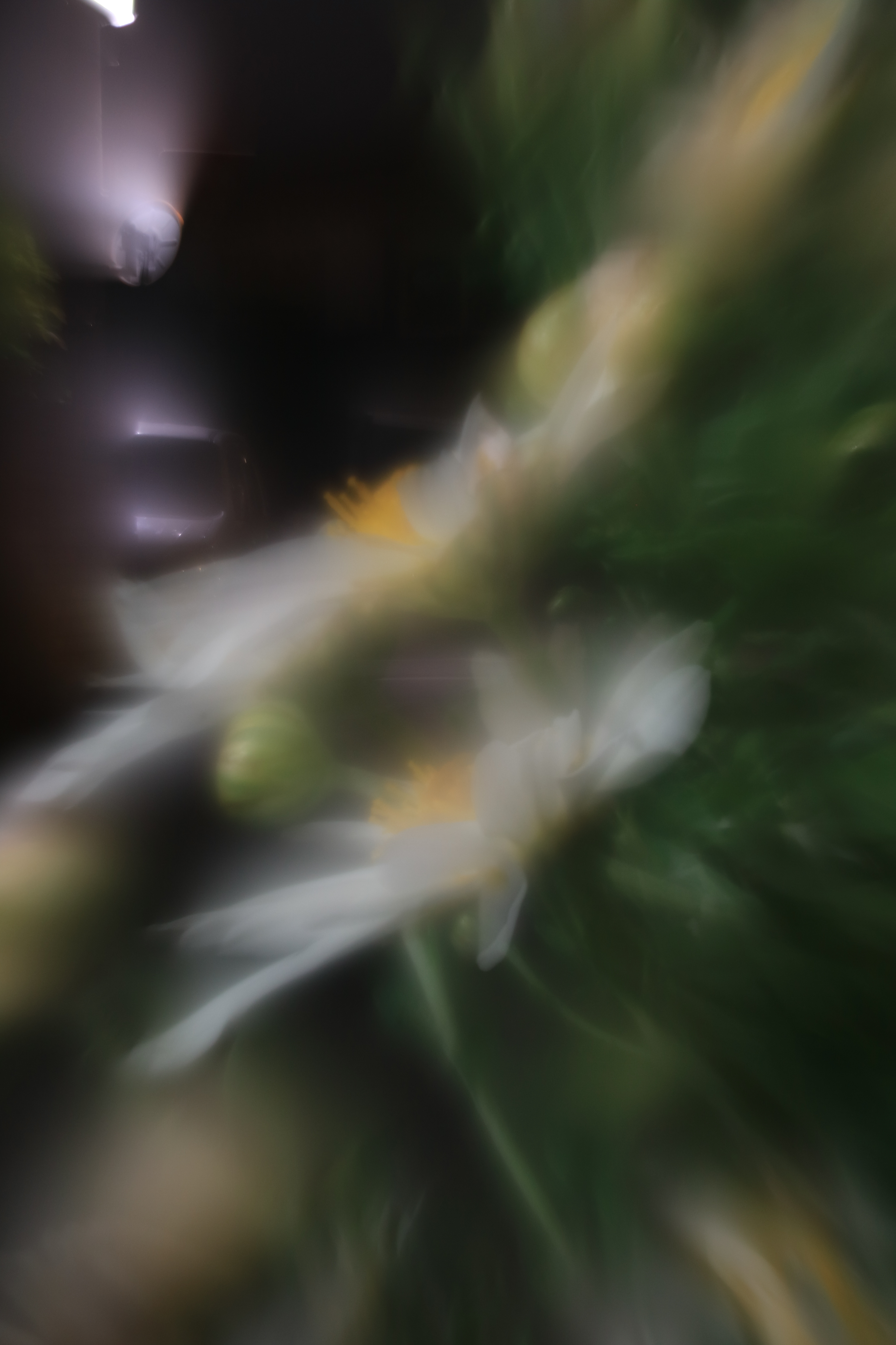 「露光間フォーカスシフト」で撮影。5秒 / F3.5 / ISO100 / マニュアル露出