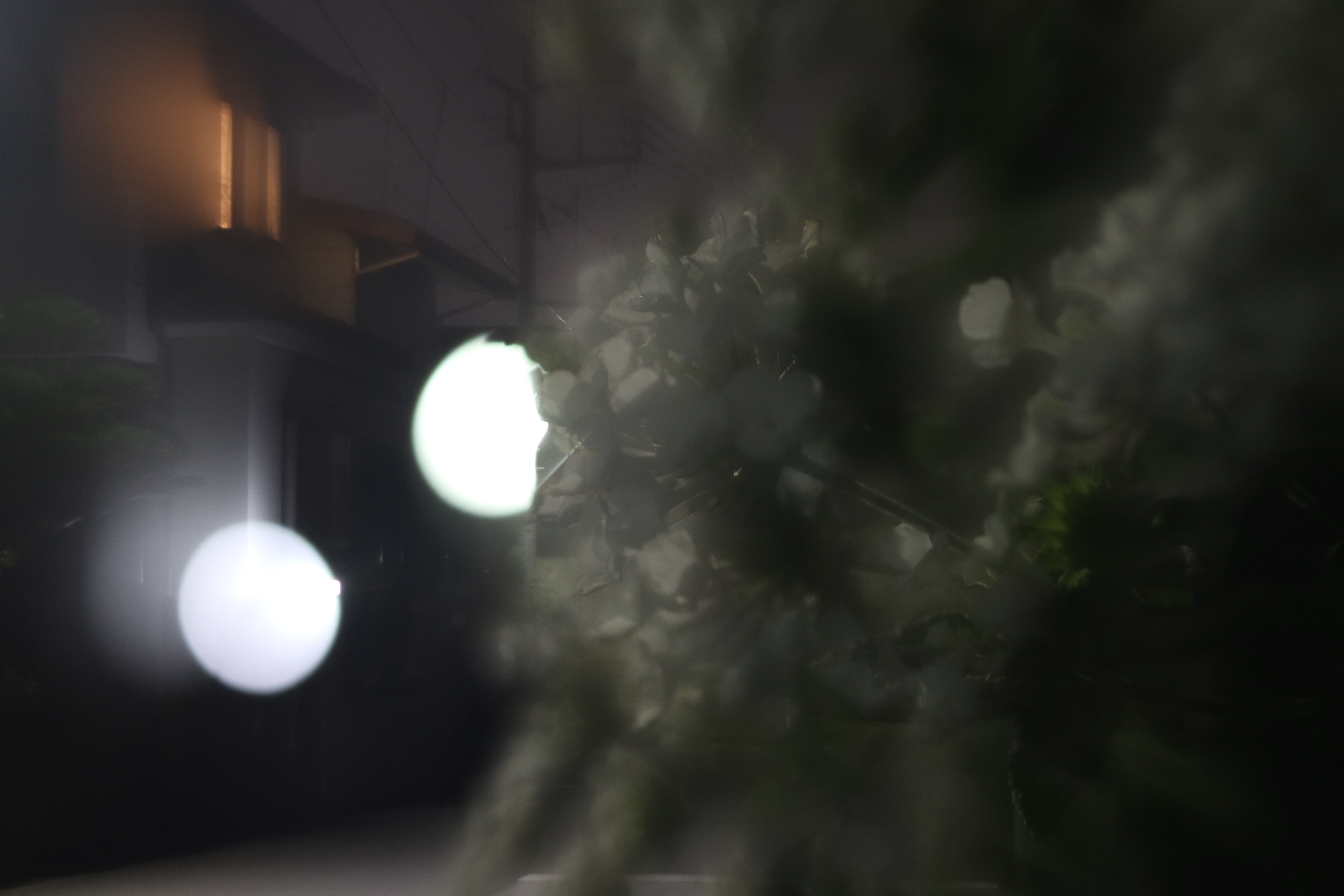 3.2秒 / F3.5 / ISO400 / マニュアル露出