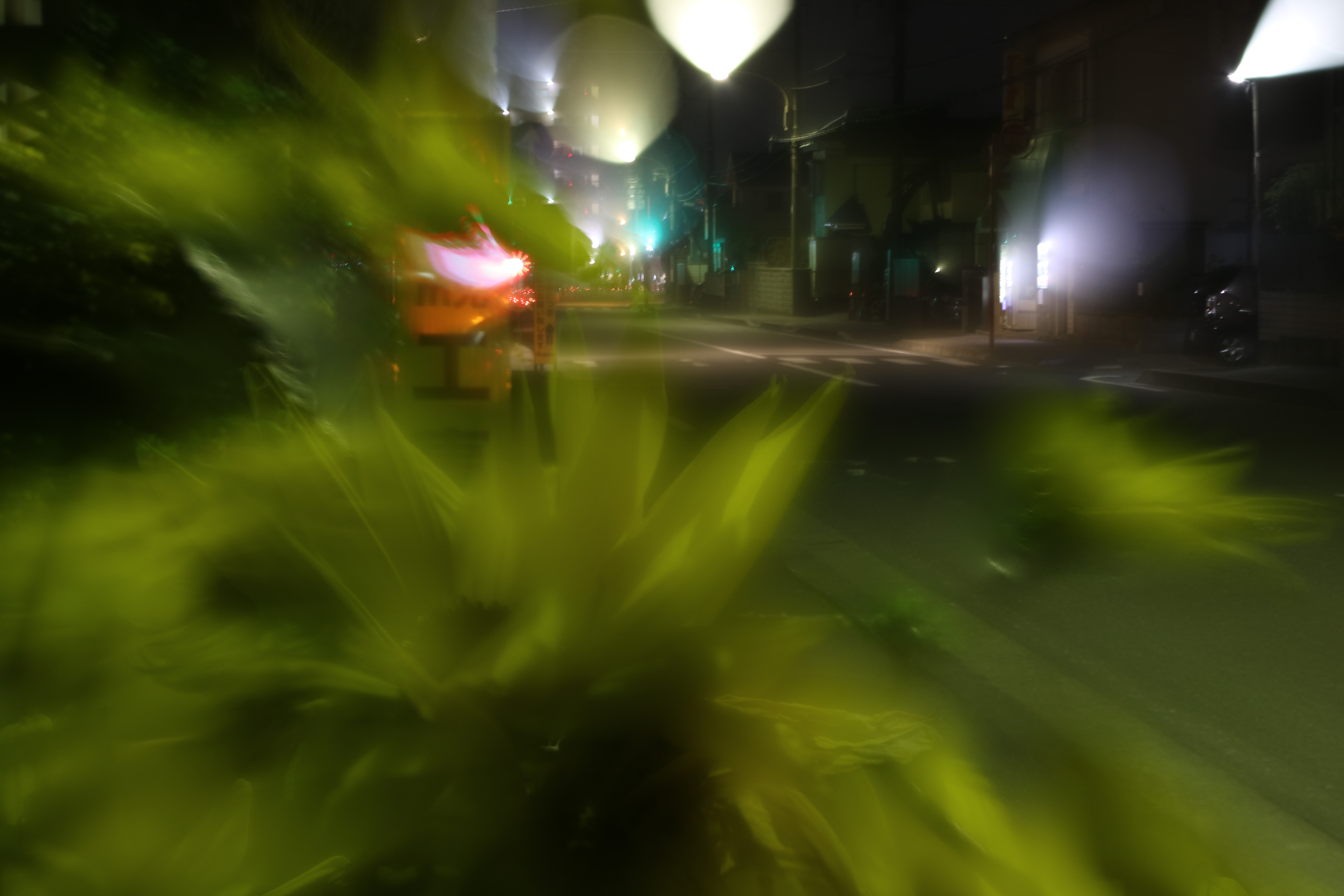 3.2秒 / F3.5 / ISO100 / マニュアル露出