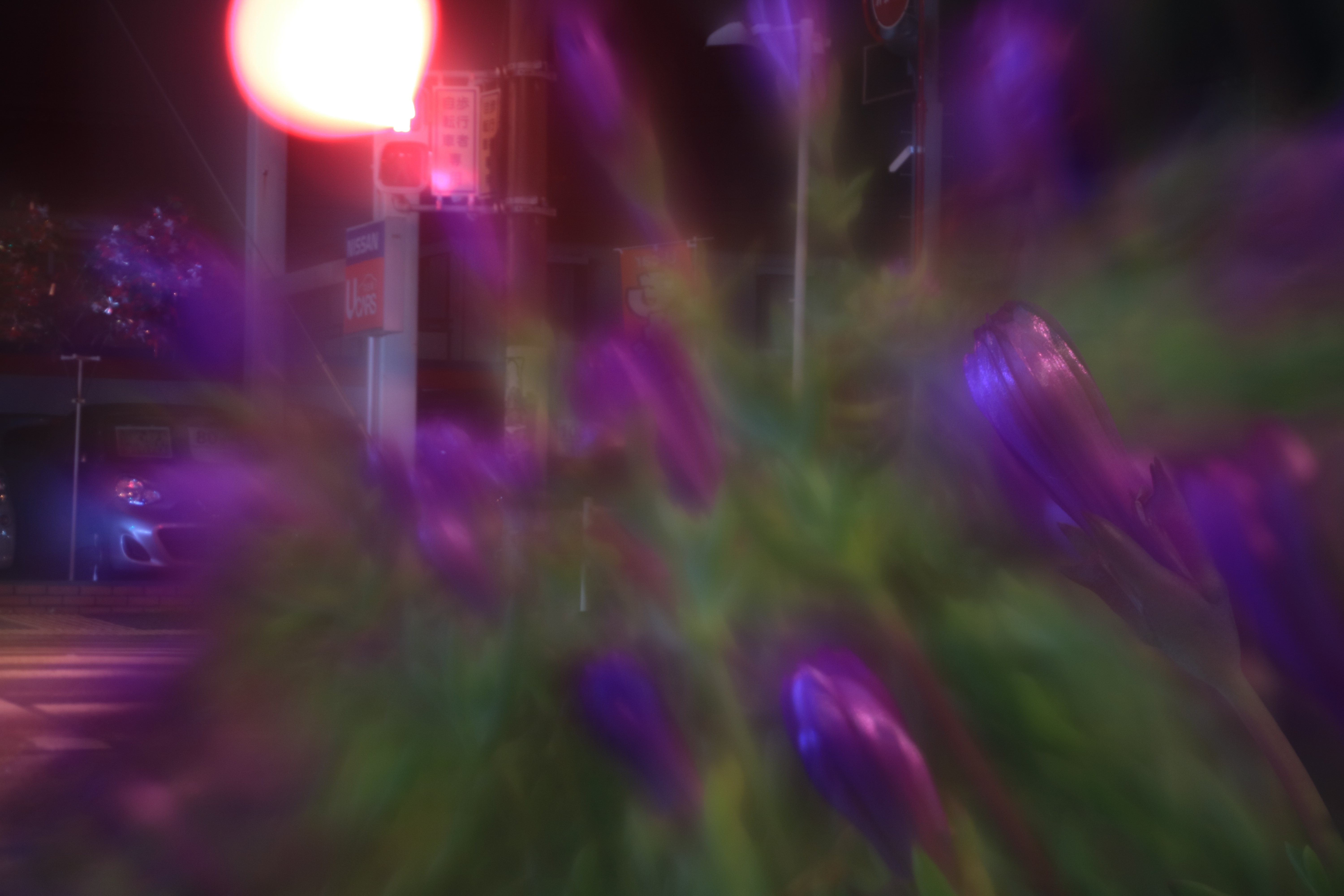 1.6秒 / F3.5 / ISO100 / マニュアル露出