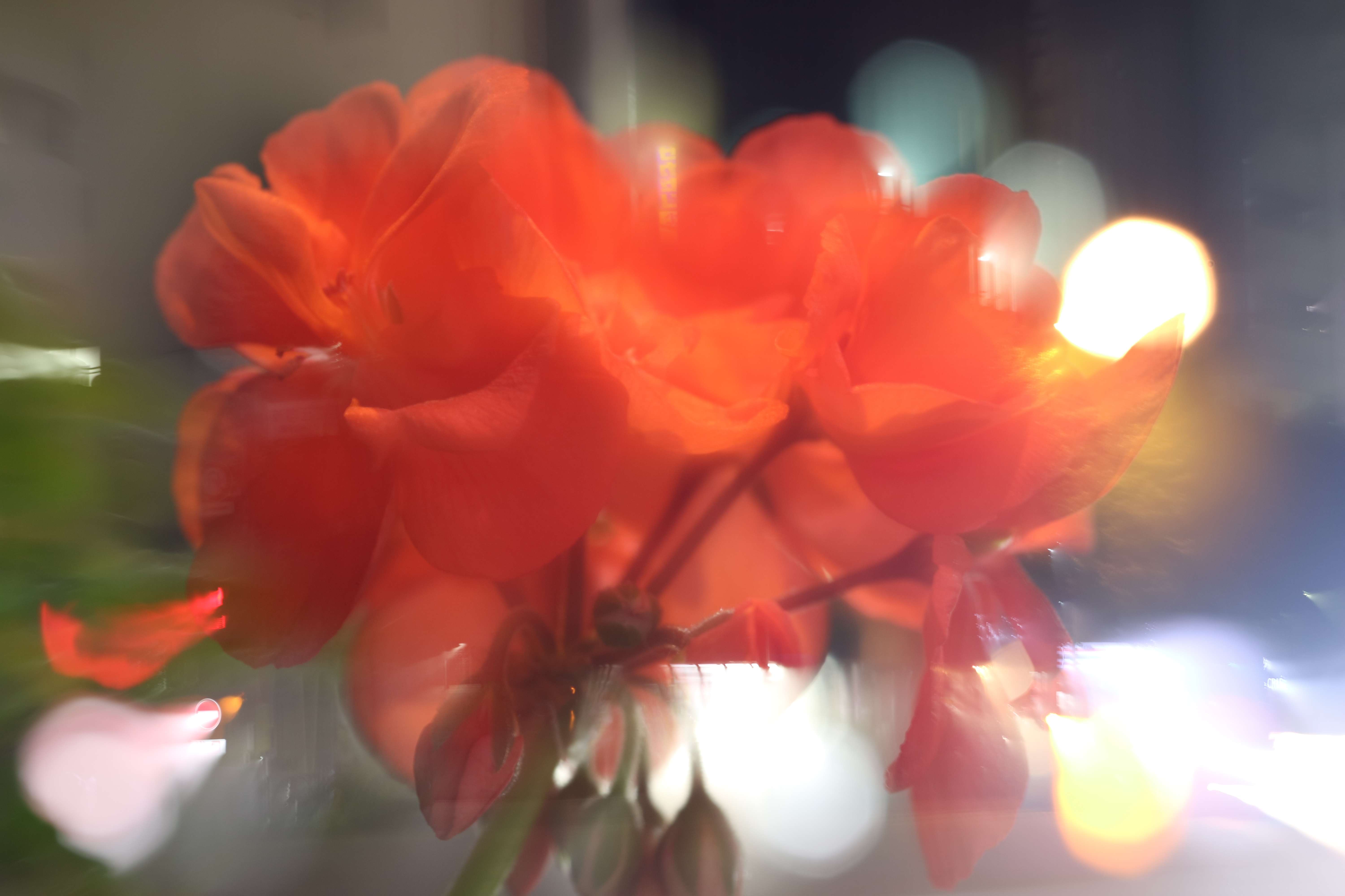 2秒 / F3.5 / ISO100 / マニュアル露出