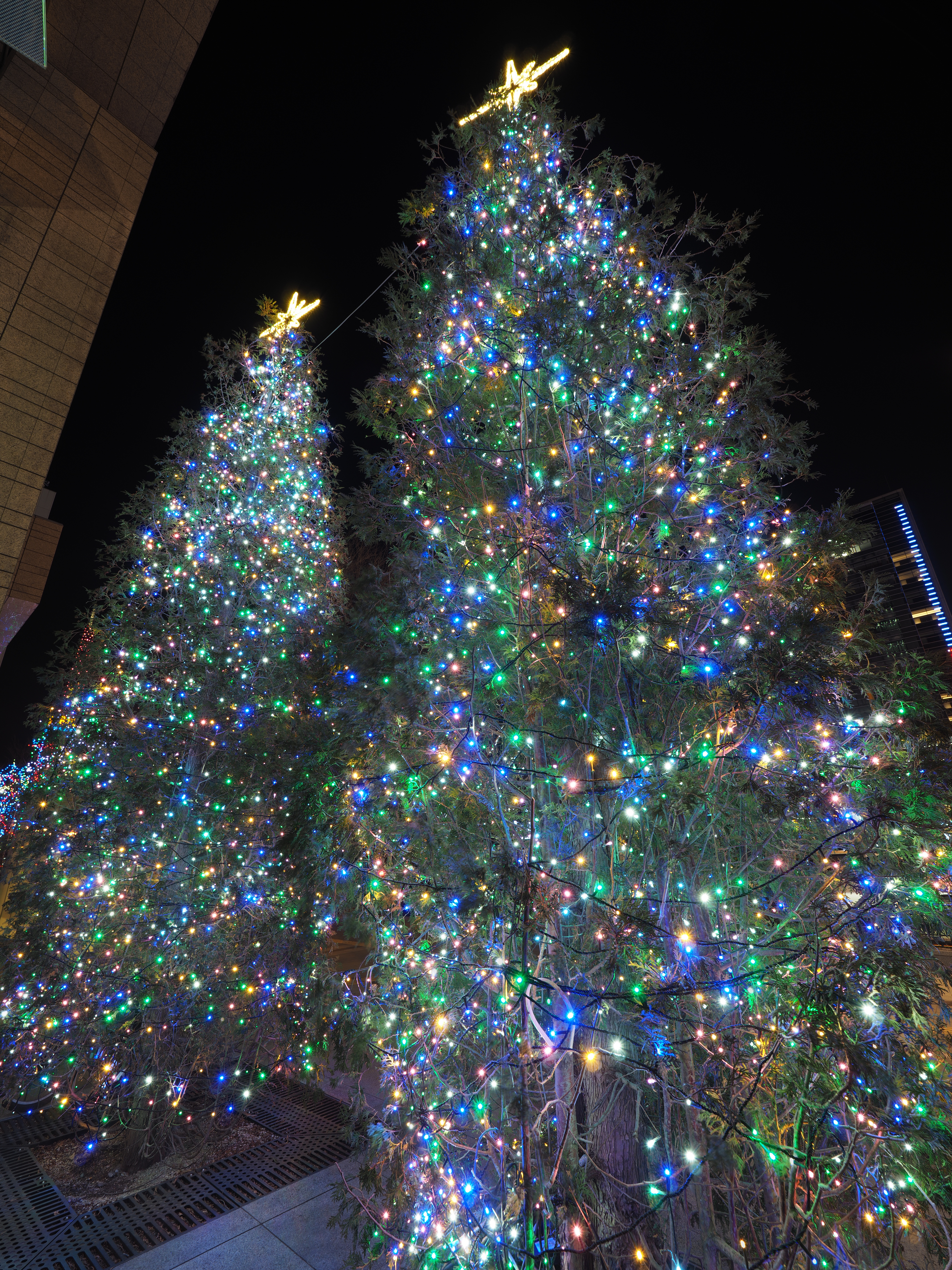 M.ZUIKO DIGITAL ED 7-14mm F2.8 PRO / 1/2秒 / F5 / -0.3EV / ISO200 / 絞り優先AE / 7mm