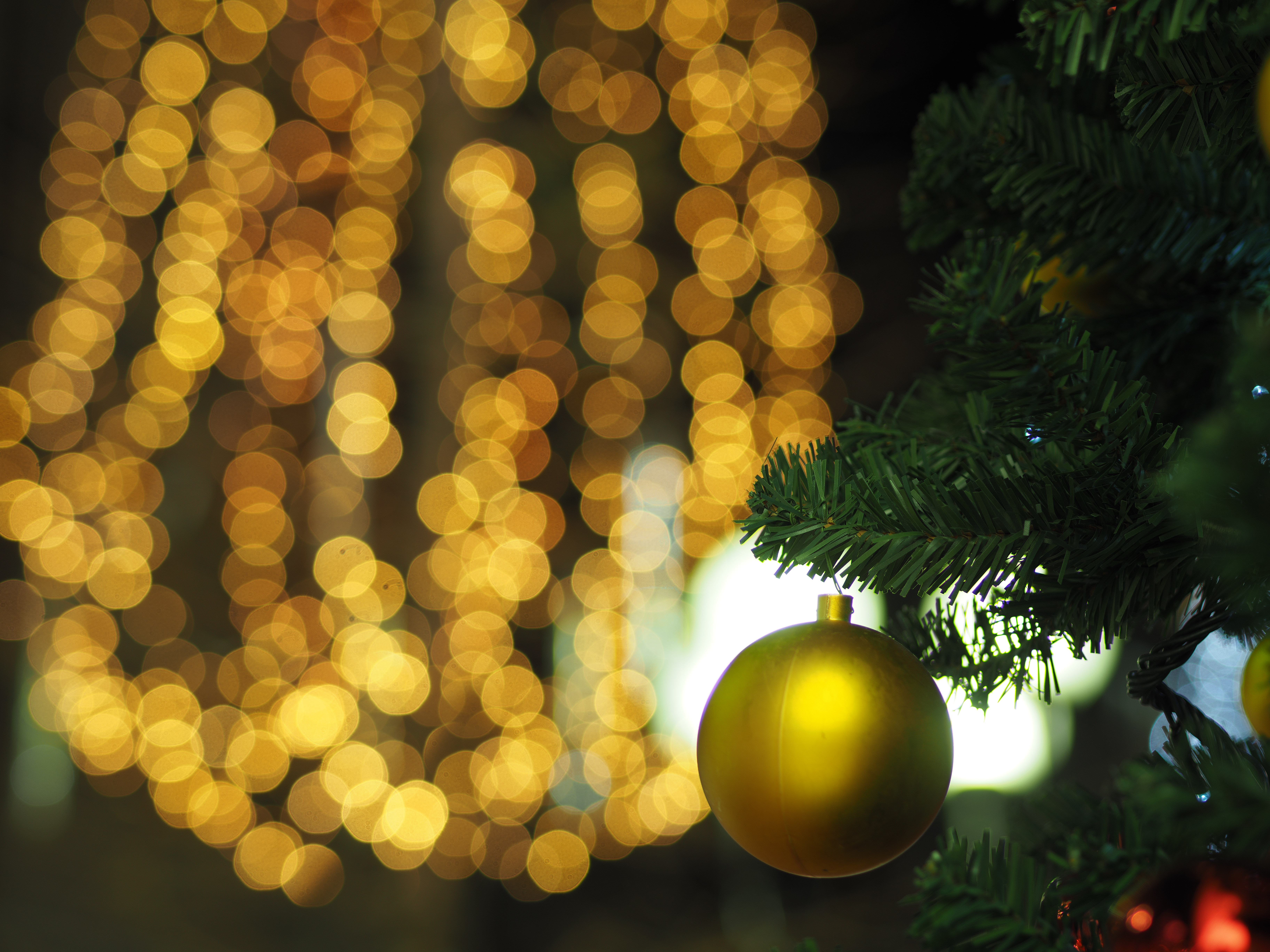 M.ZUIKO DIGITAL 45mm F1.8 / 1/40秒 / F2 / +0.3EV / ISO200 / 絞り優先AE / 45mm