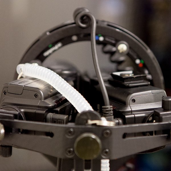 ステンドグラスを後方から2灯で照らす