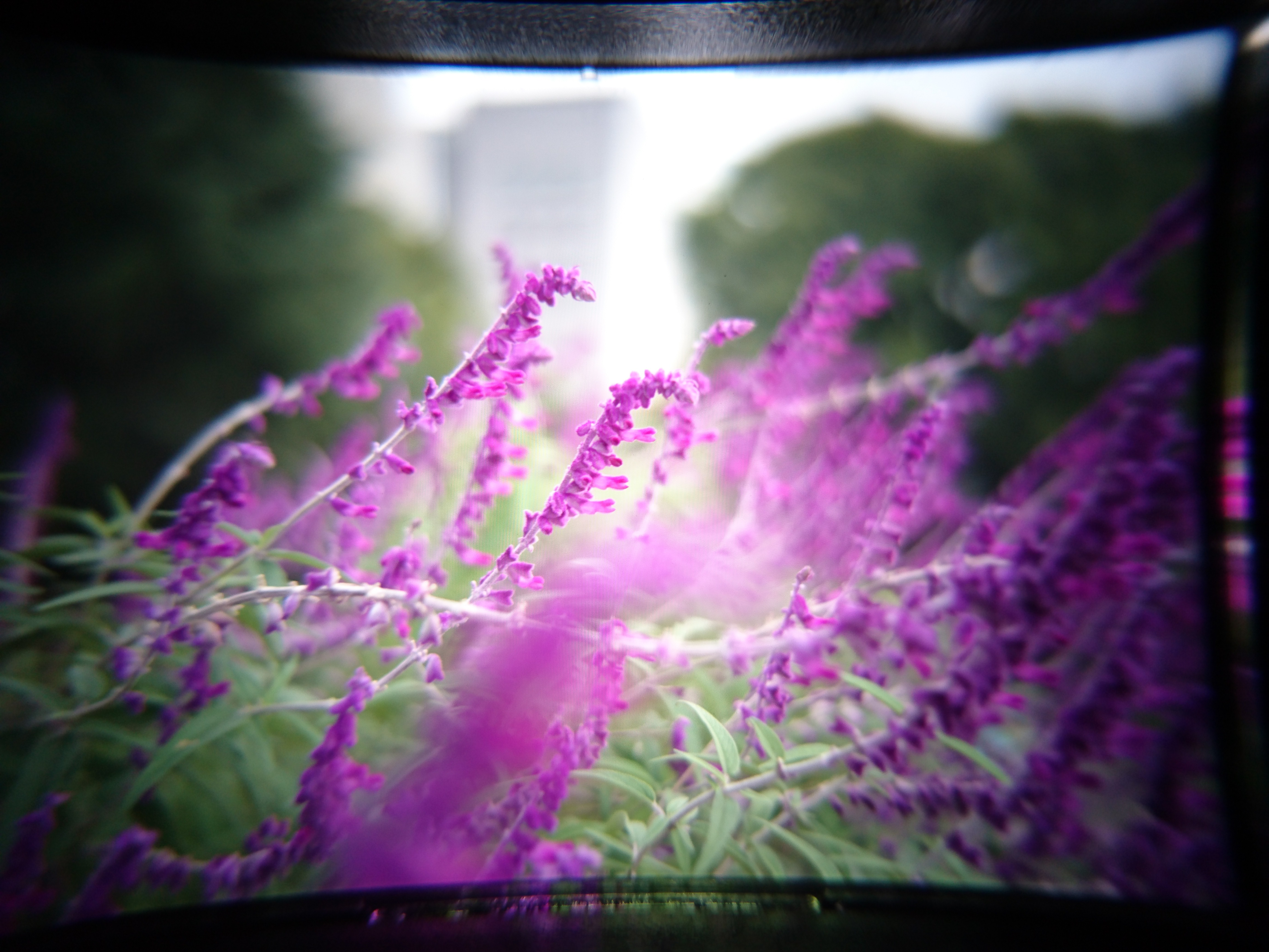 上下がケラレる例