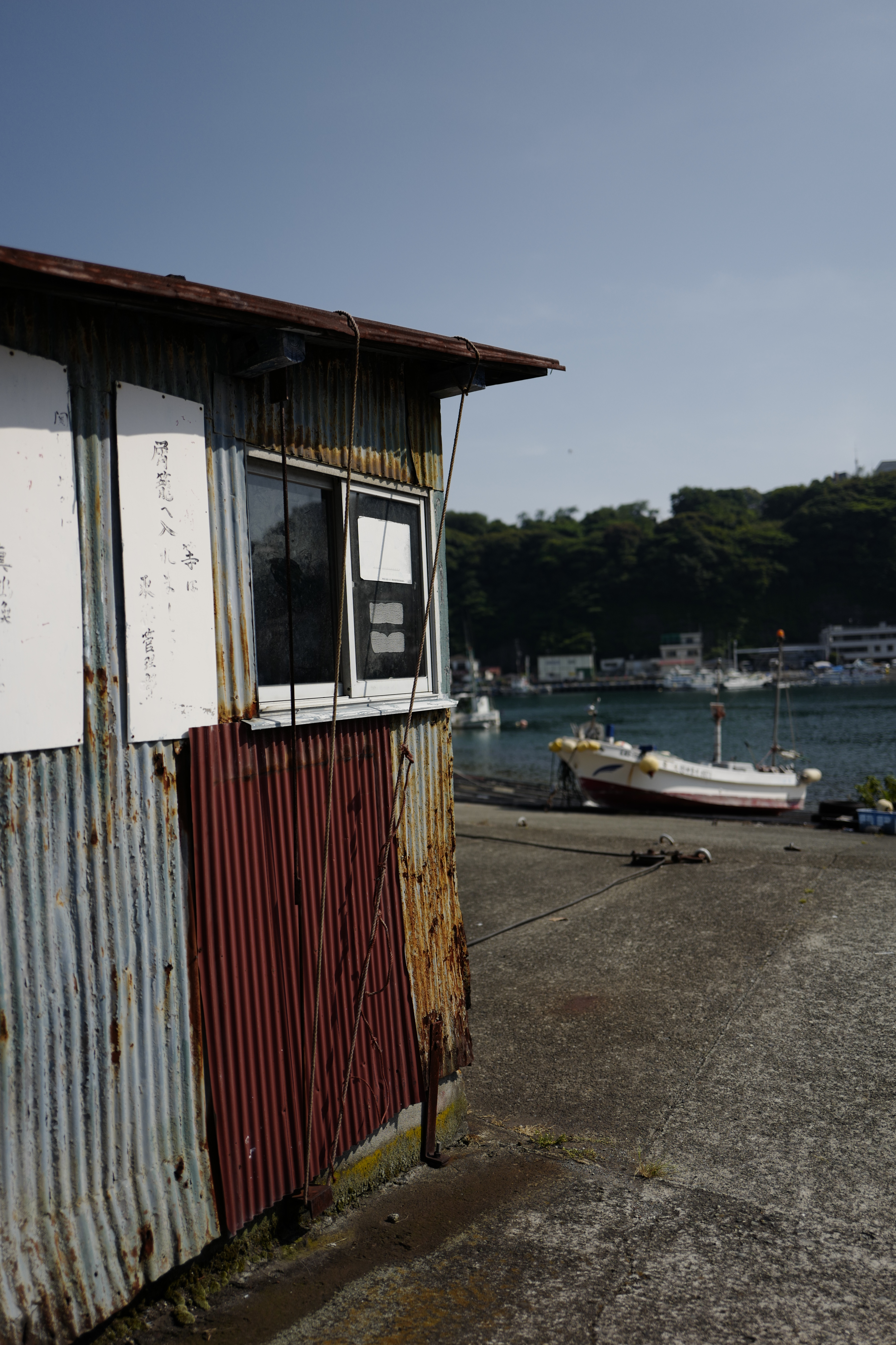 Leica Q / 6,000×4,000 / 1/8,000秒 / F2 / -0.6EV / ISO100 / WB:オート