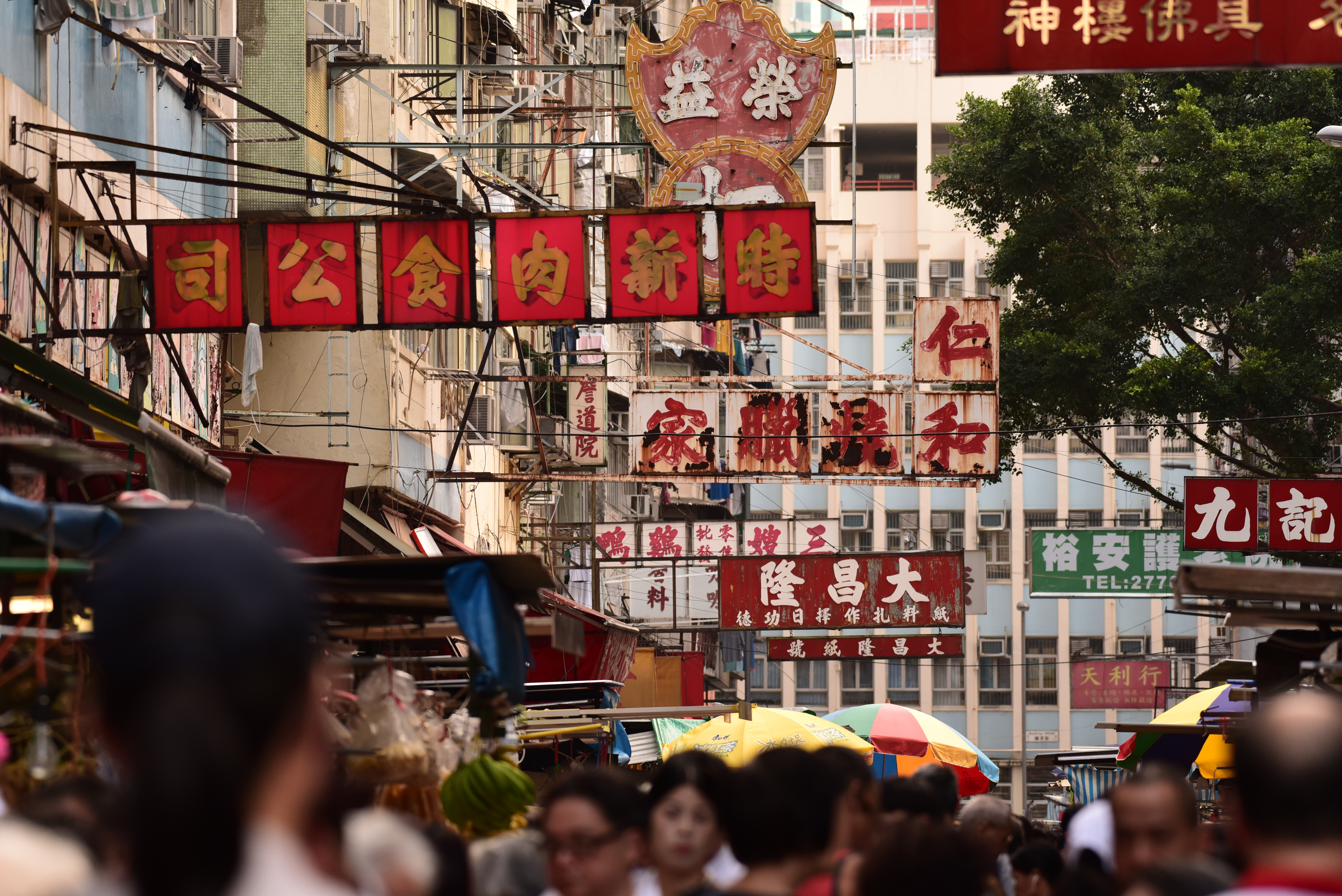 D750 / 1/400秒 / F5.6 / -0.3EV / ISO800 / 絞り優先AE / 200mm