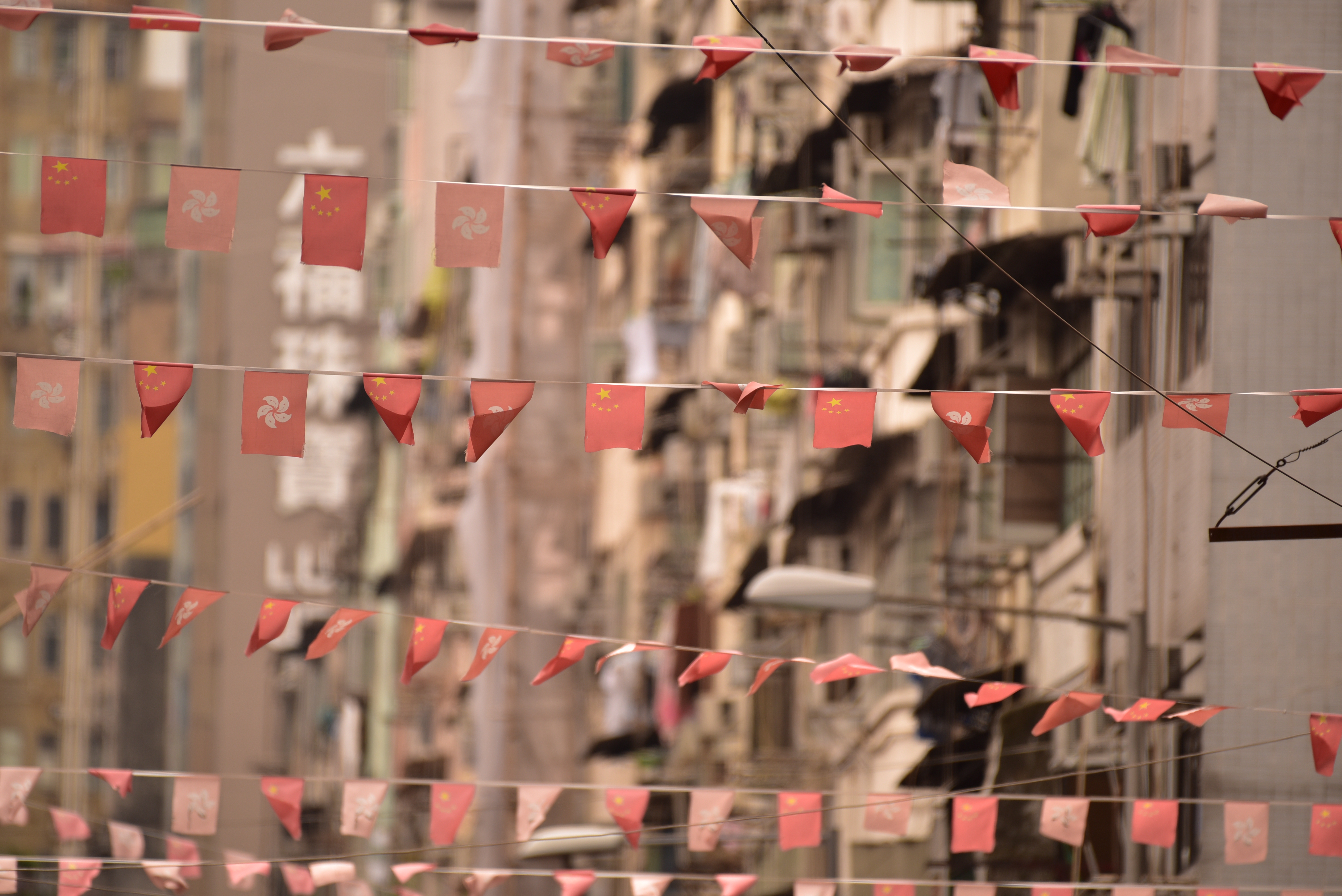 D750 / 1/160秒 / F5.6 / +0.7EV / ISO100 / 絞り優先AE / 500mm