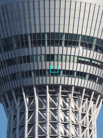 【はがが】M.ZUIKO DIGITAL ED 300mm F4.0 IS M.ZUIKO DIGITAL 300mm F4.0 IS PRO 【公式通販】