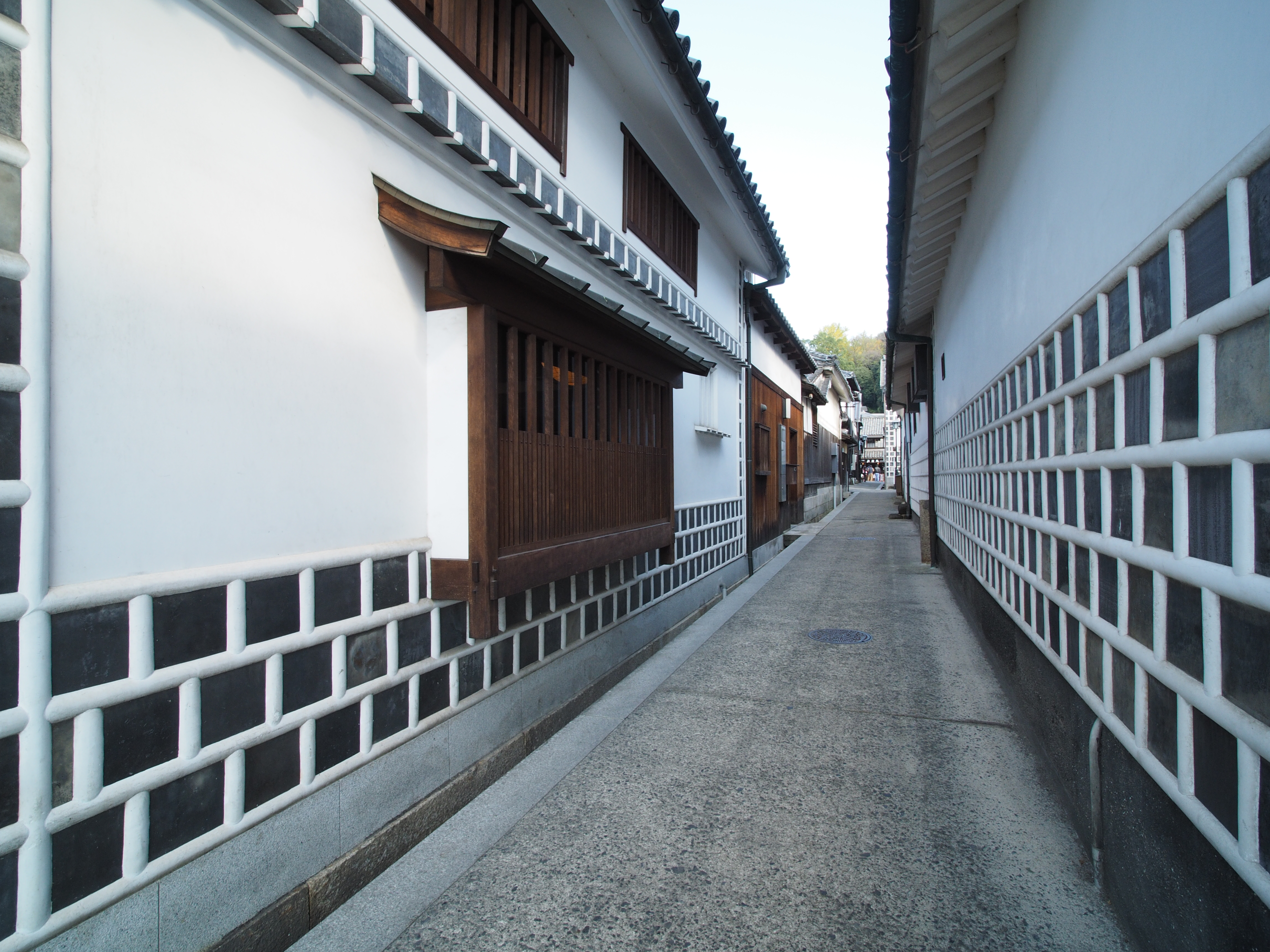 KOWA PROMINAR 8.5mm F2.8 / OLYMPUS OM-D E-M1 / F11 / 1/30秒 / ±0EV / ISO200