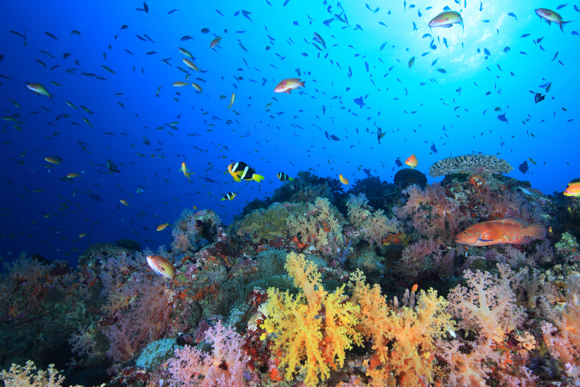 Canon EFレンズ 写真家インタビュー】いままでにない画角で、見たまま