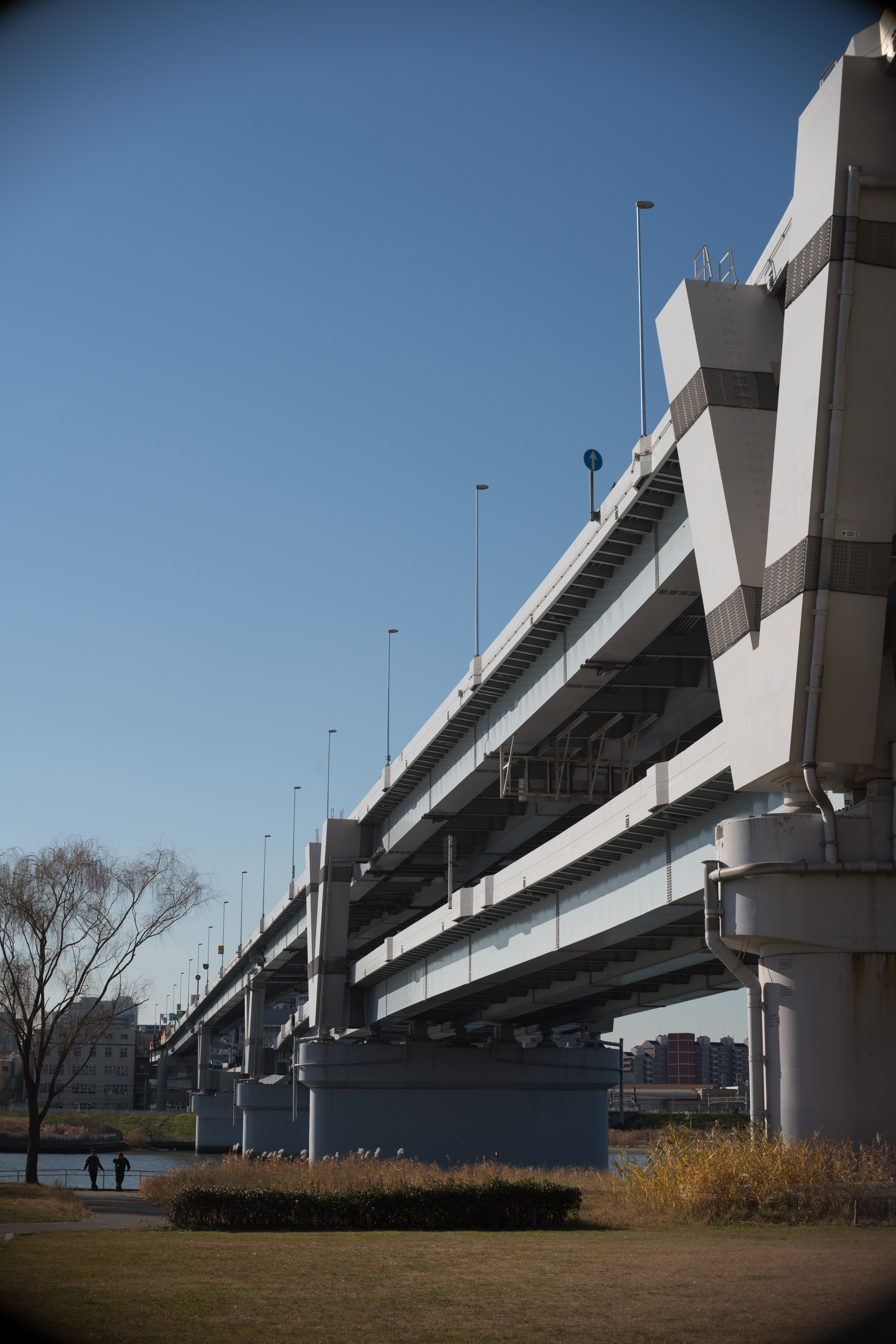 α7R II / PO3-3M 50mm F2 / 1/640秒 / F5.6 / ±0EV / ISO100 / WB:オート