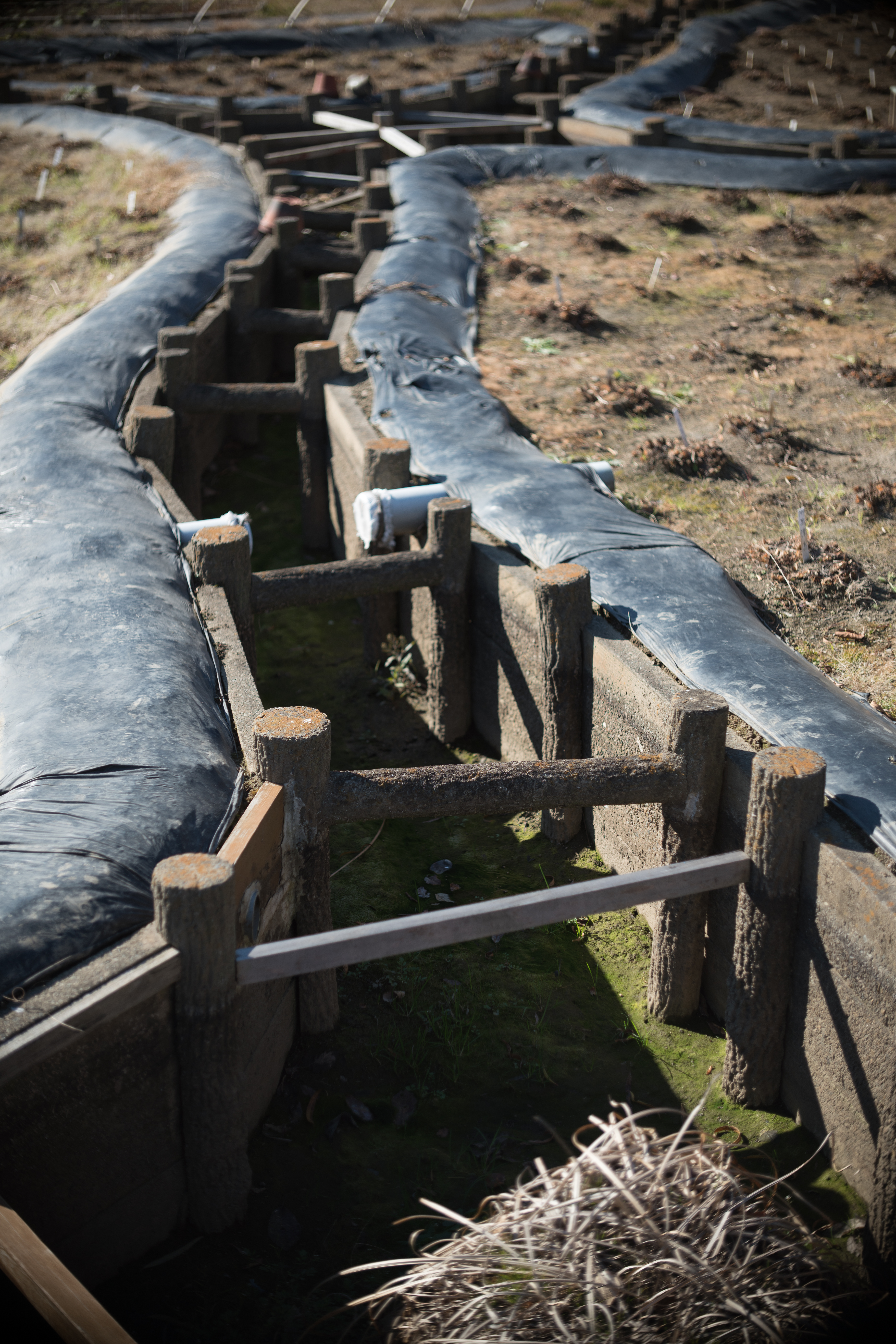 α7R II / PO3-3M 50mm F2 / 1/1,250秒 / F2.8 / -0.7EV / ISO100 / WB:オート