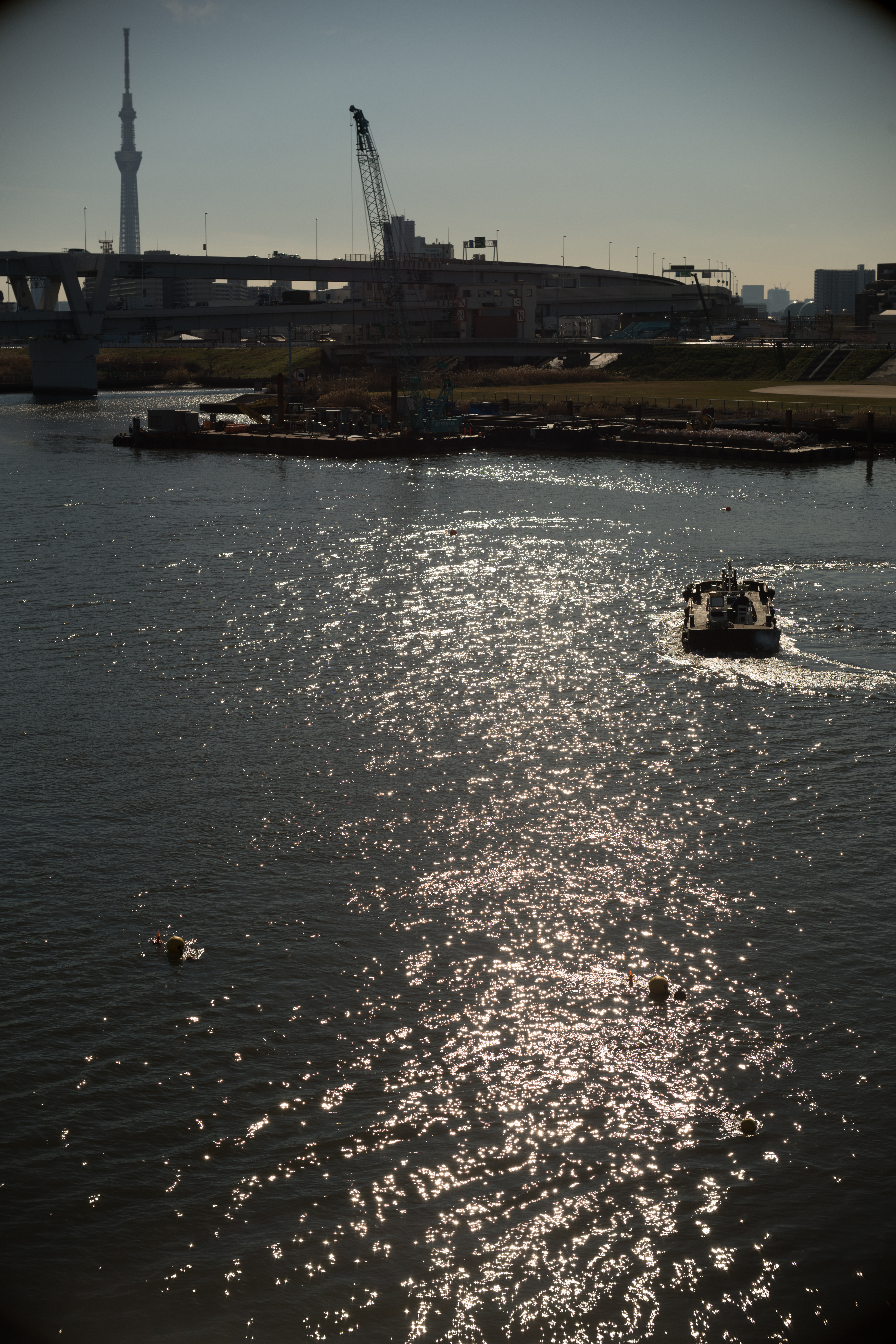 α7R II / PO3-3M 50mm F2 / 1/2,000秒 / F5.6 / ±0EV / ISO100 / WB:オート