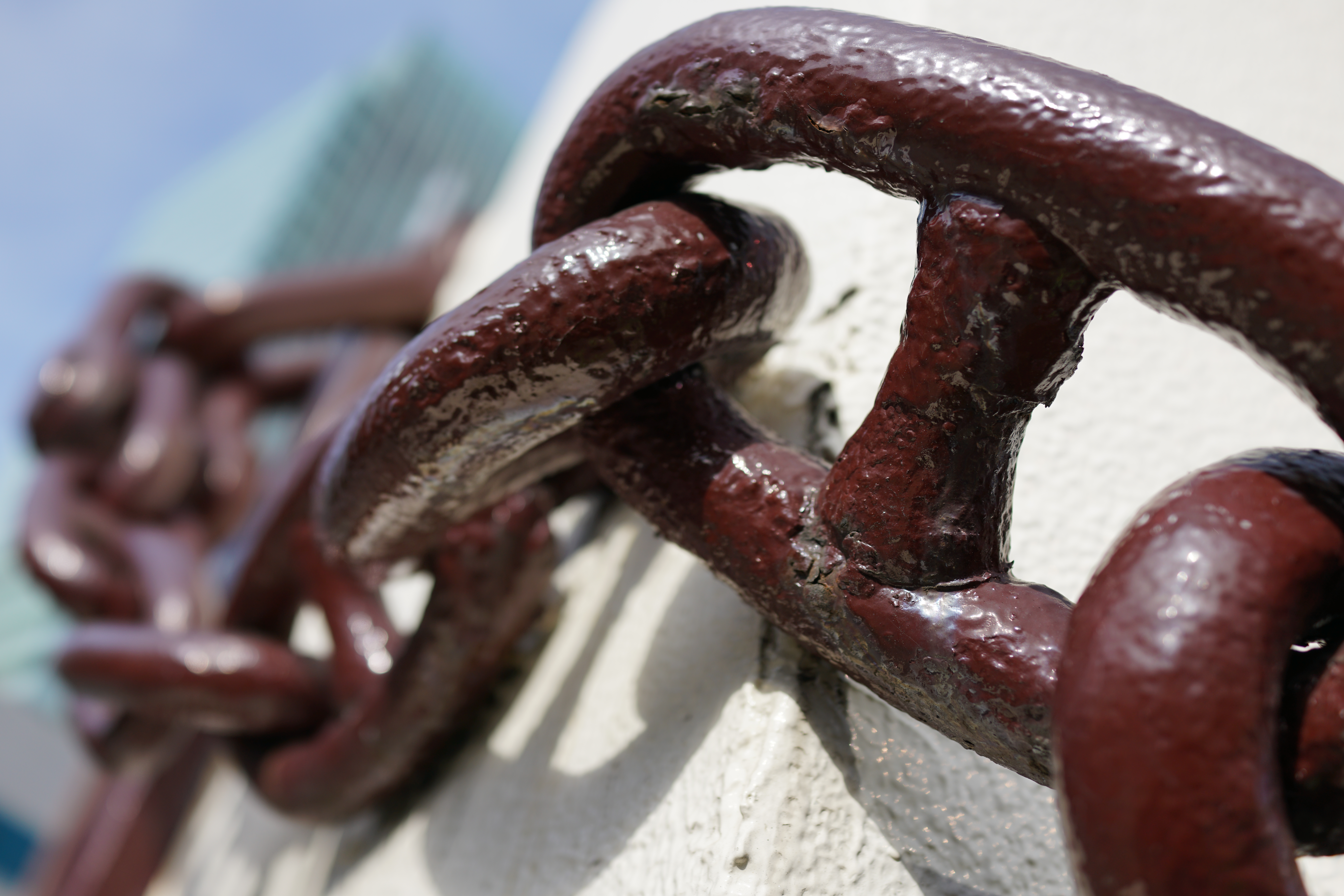 ISO100 / F2.8 / 1/1600秒 / -0.7EV