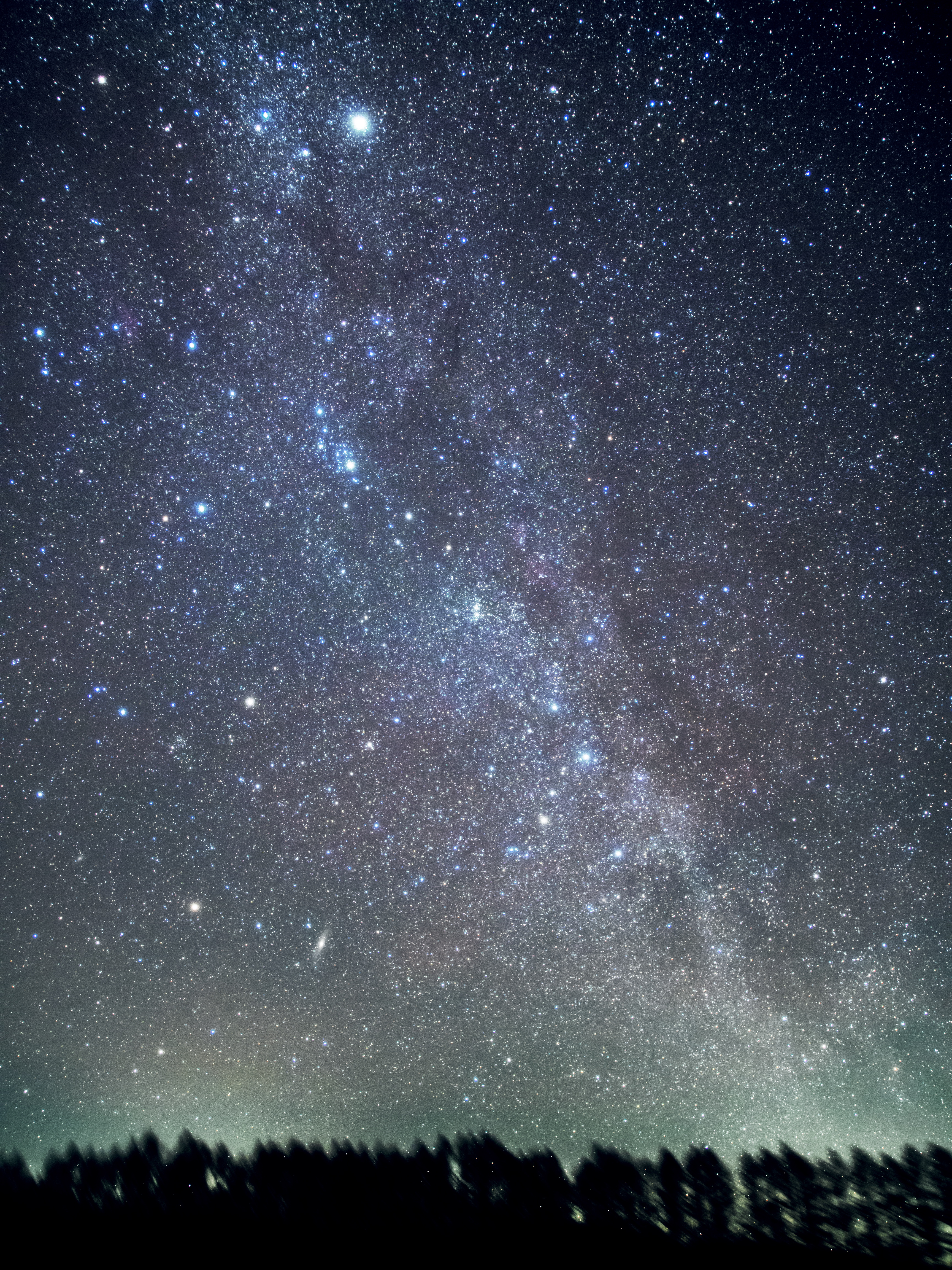 KOWA PROMINAR 12mm F1.8 / OLYMPUS OM-D E-M5 MarkII / F2.8 / 4分 / ISO1600 / LEEソフトNo.3フィルター使用 / TOAST-Technology TP-2で追尾撮影