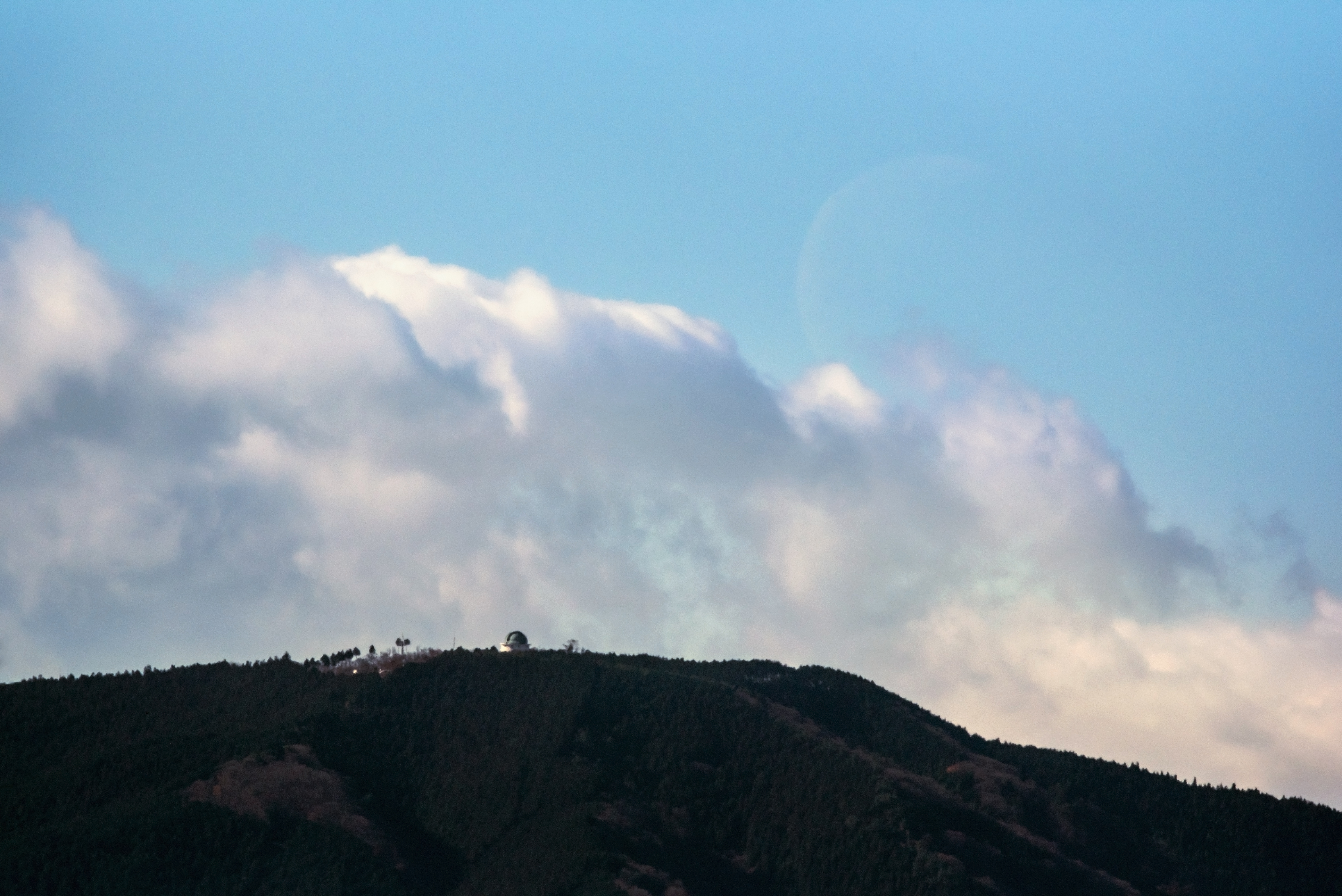 KOWA PROMINAR 500mm F5.6＋TX17（850mm F9.6） / Nikon D750 / F13.5 / 1/1000秒 / ISO400