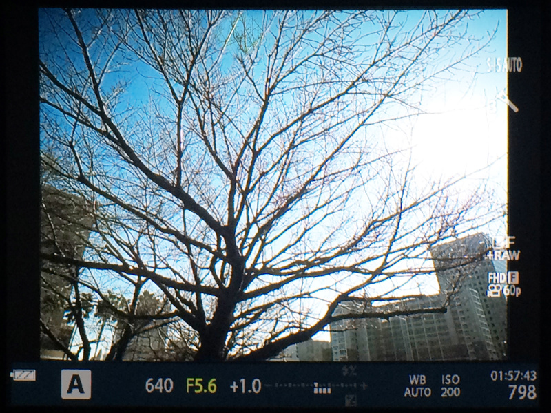 ファインダー内イメージ：OVFシミュレーションモードOFF