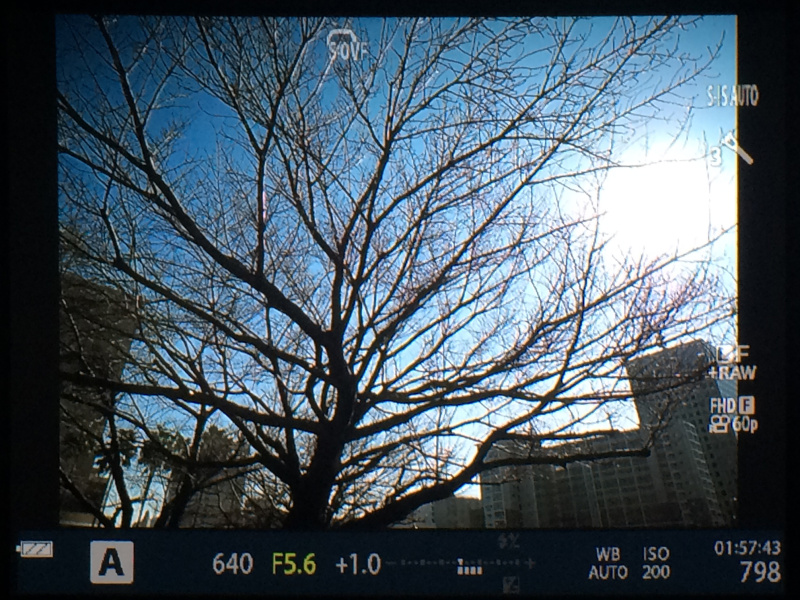 ファインダー内イメージ：OVFシミュレーションモードON