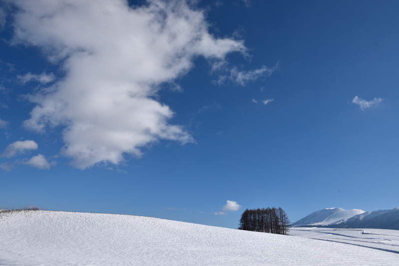 自宅からさほどの距離ではない嬬恋村の丘だ。村内の丘の撮影ならEV走行だけで事足りる。この、どこまでも澄み渡る美しい青空をいつまでも残したい。（撮影：萩原俊哉）