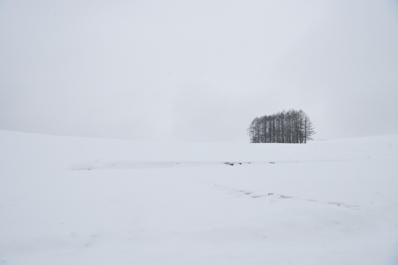 降雪していることもあり、ハイキーで表現した。（撮影：萩原俊哉）