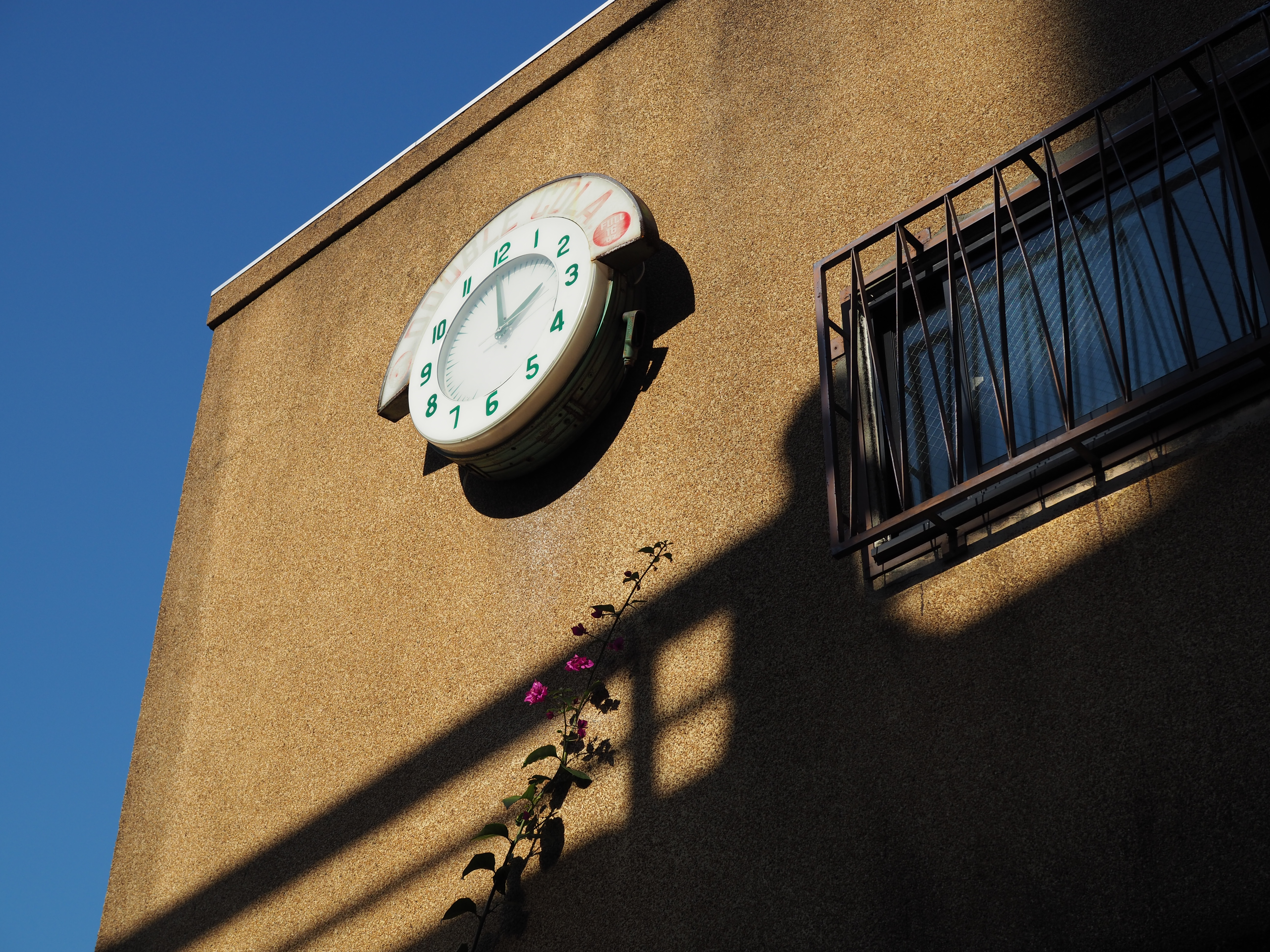 M.ZUIKO DIGITAL 25mm F1.8 / ISO200 / F5.6 / 1/1,000秒 / 50mm相当