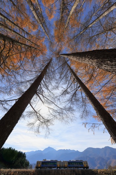 風景写真にオススメの超広角レンズ☆キヤノン EF-S 10-22mm USM♡