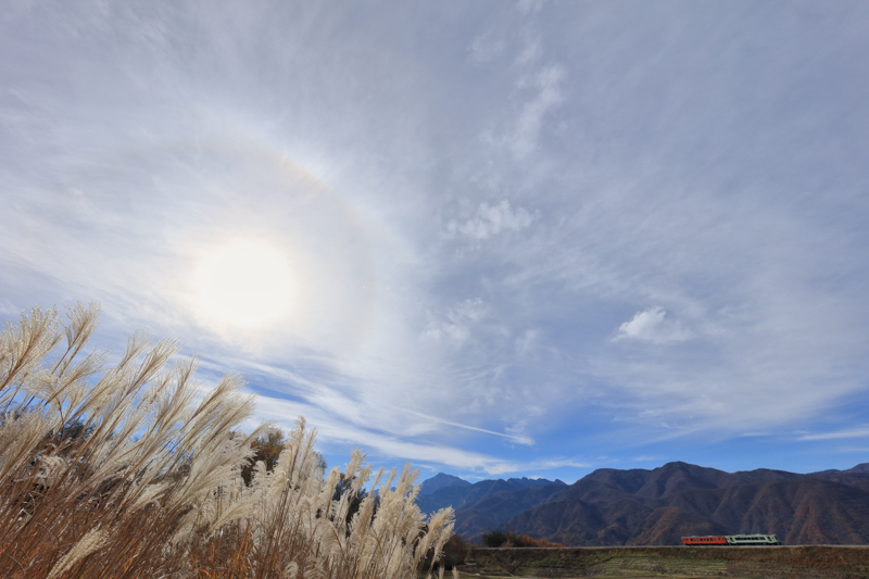 高原列車として有名な小海線。南アルプスを背景とする撮影地にて撮影。ススキを左隅に配したが、この描写力に感動した。超広角レンズは周辺部の解像力が命。作品のキーを安心して四隅に配置できる。<br><span class="fnt-85">キヤノン EOS 5Ds / EF11-24mm F4L USM / 12mm / マニュアル露出（F11、1/800秒） / ISO 500</span>