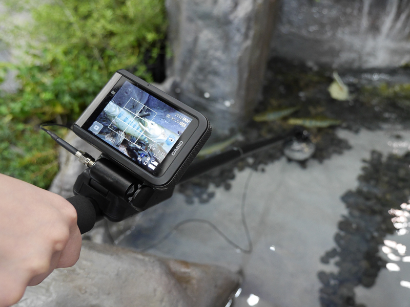 オプションのポールなどを使えば水中の様子も簡単に撮影可能