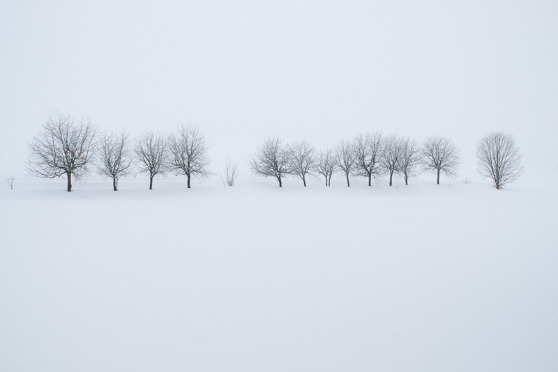 激しく降り続く雪の中、白に溶け込むように並んでいる林を狙った。耐低温、防塵防滴といった仕様は厳しい環境で撮影することの多い風景写真家にとってはなくてはならない要素といえる。<br class=""><span class="fnt-85">PENTAX K-1 / HD PENTAX-D FA 24-70mmF2.8ED SDM WR / 1/15秒 / F11 / ISO 100 / 29mm</span>