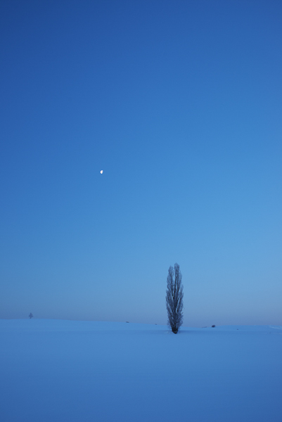 氷点下20度の日の出前。西の空に沈みゆく月と1本のポプラを狙った。凛とした空気の中、K-1の静かなシャッター音だけが響く。いや響くというほど大きくはなく、どちらかといえば囁くというべきだろうか。<br class=""><span class="fnt-85">PENTAX K-1 / HD PENTAX-D FA 24-70mmF2.8ED SDM WR / 1/20秒 / F8 / ISO 200 / 33mm</span>
