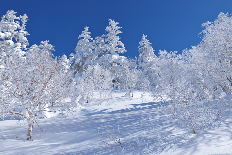 抜けるような青と繊細な白の両方を美しく描くのは、案外難しいものだ。その点K-1の色再現は派手すぎず上品で濁りがない。高画素センサーだからこそ描き出せる精細な描写も大いなる魅力だ。<br class=""><span class="fnt-85">PENTAX K-1 / HD PENTAX-D FA 24-70mmF2.8ED SDM WR / 1/80秒 / F16 / ISO 100 / 33mm</span>