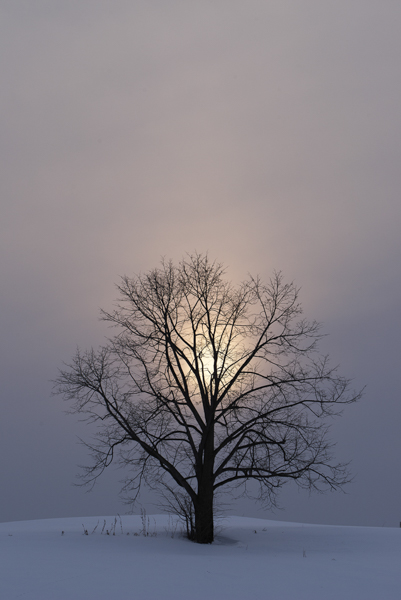 ぼんやりとした夕日が丘に沈んていく。何気ない冬のシーンだが、こんな日々が繰り返されるのが北国なのだ。派手な色あいの夕日ではなかったが、K-1の上品な表現がこのシーンには非常にマッチしている。<br class=""><span class="fnt-85">PENTAX K-1 / HD PENTAX-D FA 24-70mmF2.8ED SDM WR / 2秒 / F2.8 / ISO 400 / 50mm</span>