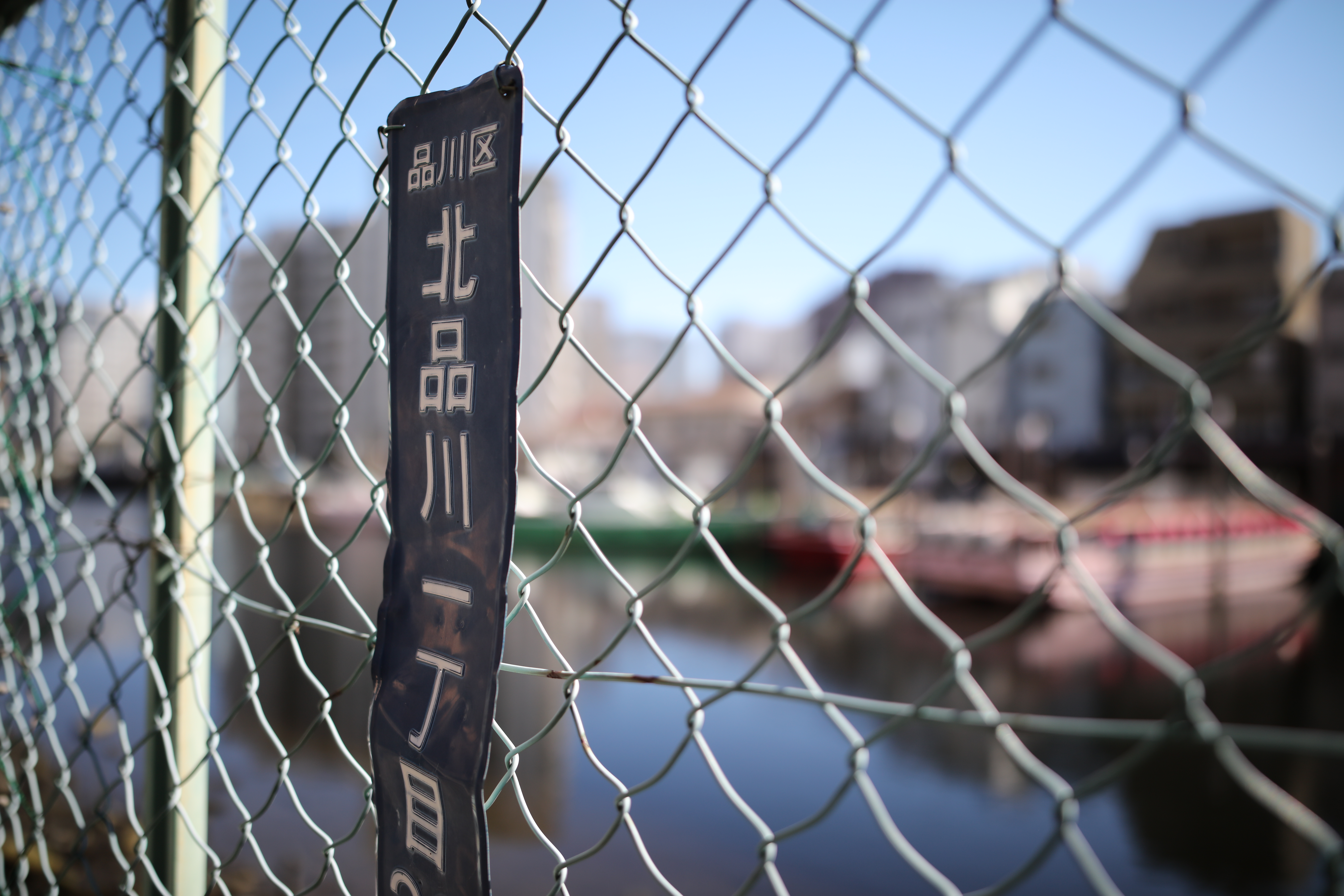 絞り開放・距離数mで撮影。EOS 5Ds R / 1/4,000秒 / F1.4 / +0.7EV / ISO100 / 絞り優先AE / 28mm