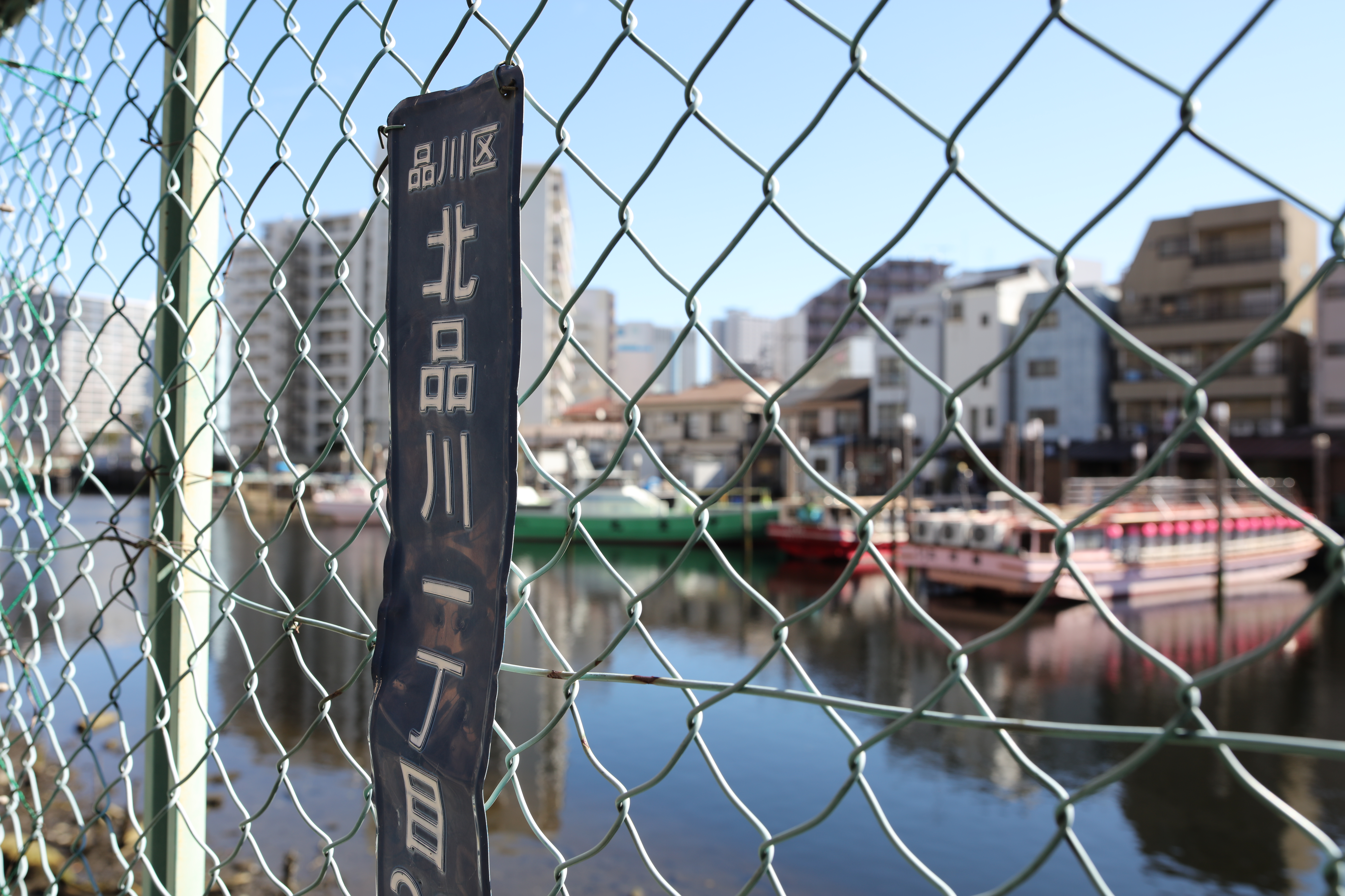 絞りF5.6・距離数mで撮影。EOS 5Ds R / 1/250秒 / F5.6 / +0.7EV / ISO100 / 絞り優先AE / 28mm