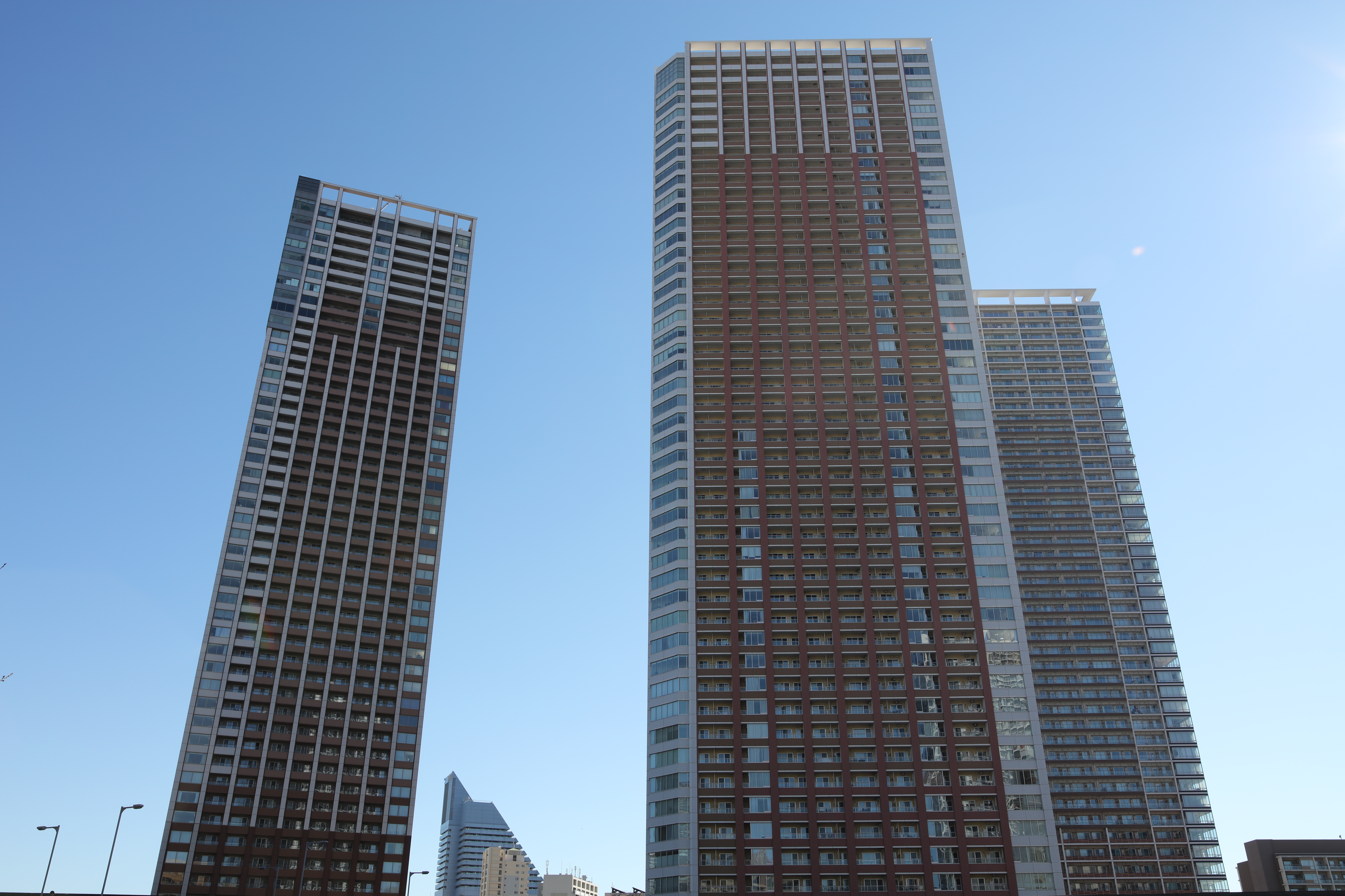 太陽が画面外にある逆光で撮影。EOS 5Ds R / 1/200秒 / F8 / 0EV / ISO100 / 絞り優先AE / 28mm