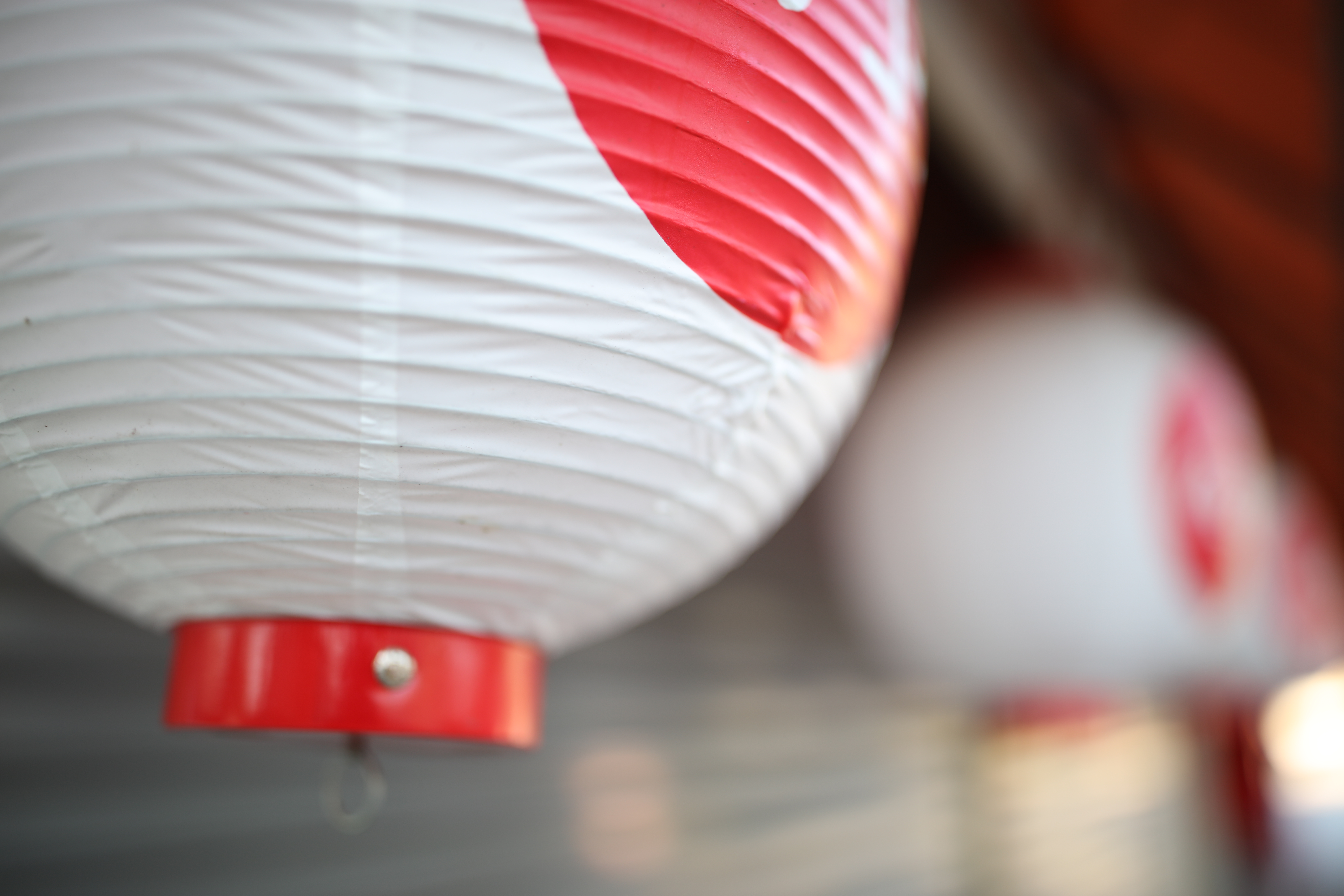 EOS 5Ds R / 1/80秒 / F1.4 / +1.7EV / ISO100 / 絞り優先AE / 28mm