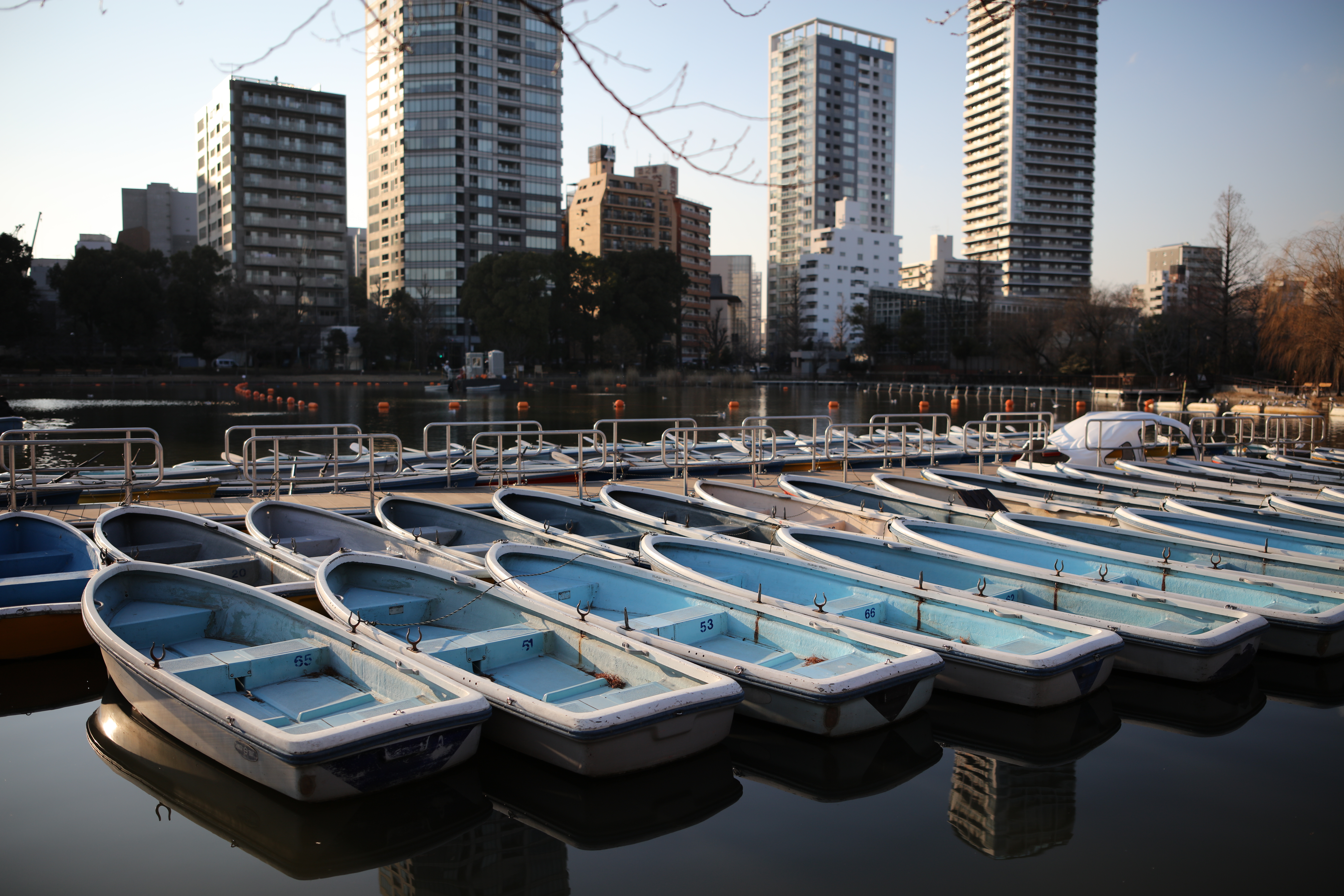 EOS 5Ds R / 1/4,000秒 / F2 / -0.3EV / ISO100 / 絞り優先AE / 28mm