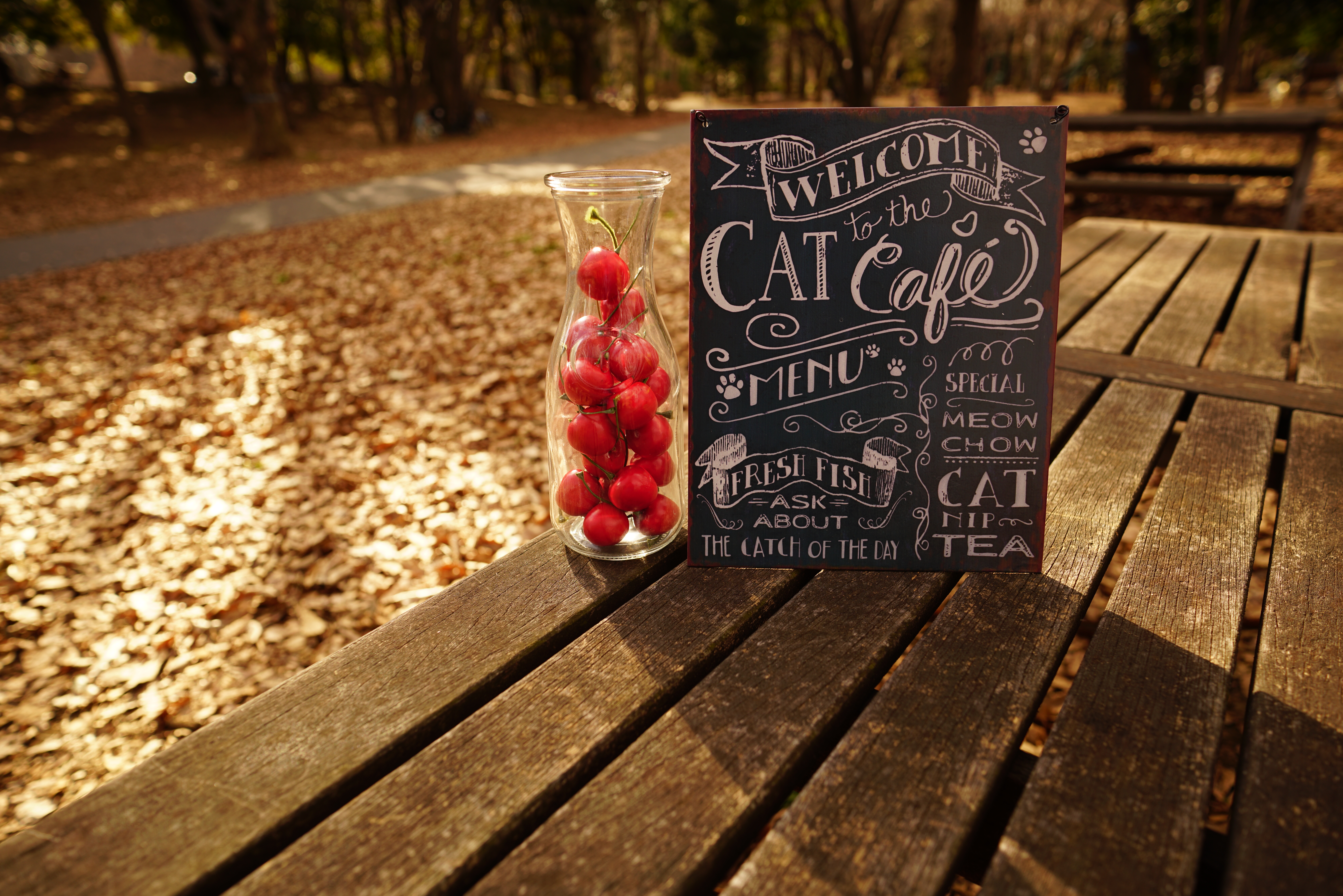 絞りF4・距離約1mで撮影。α7R II / 1/200秒 / F4 / -0.3EV / ISO100 / 絞り優先AE / 21mm