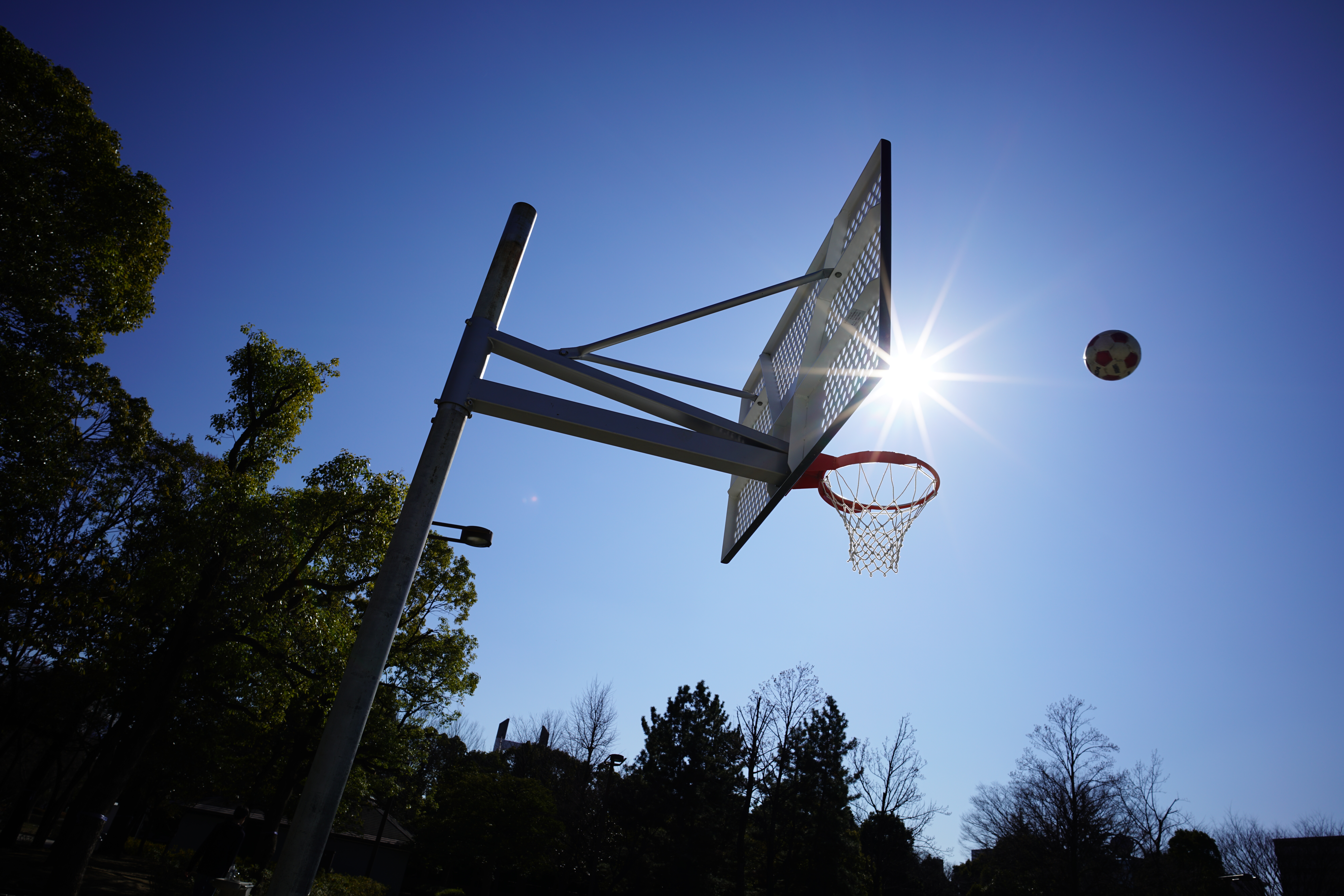 太陽が画面内に入る逆光で撮影。α7R II / 1/640秒 / F8 / 0EV / ISO100 / 絞り優先AE / 21mm