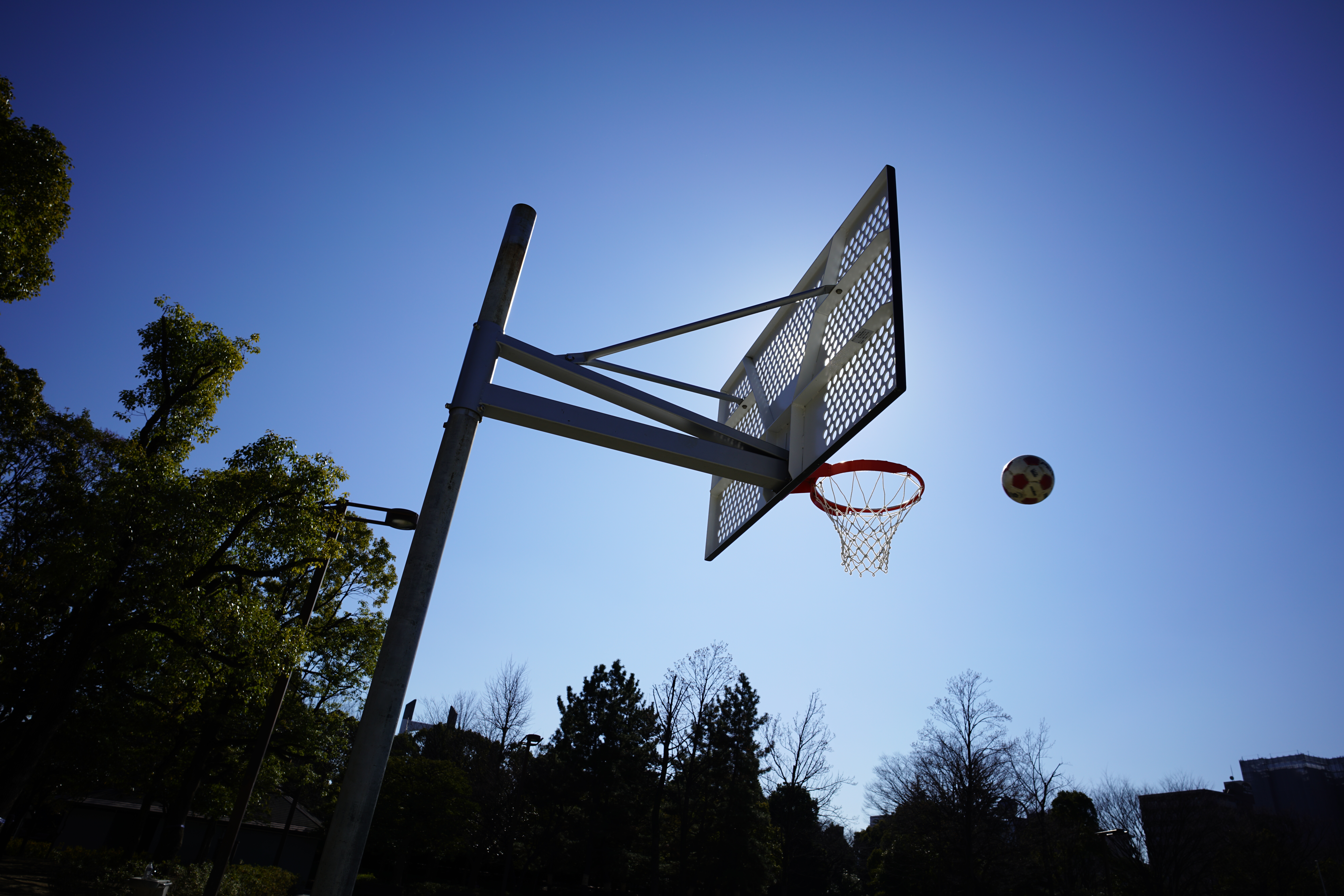 太陽が画面外にある逆光で撮影。α7R II / 1/500秒 / F8 / 0EV / ISO100 / 絞り優先AE / 21mm