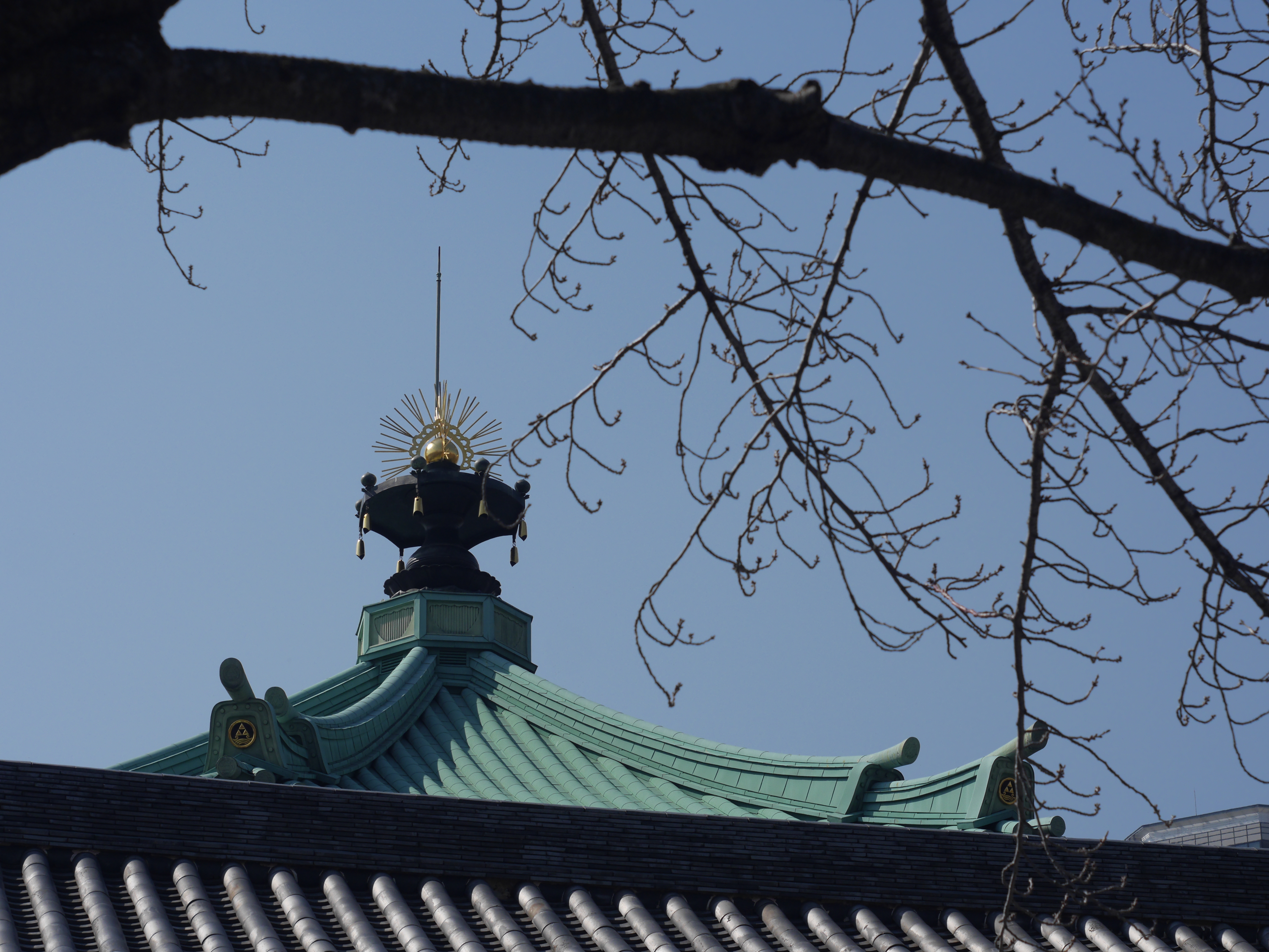 F5.6で離れた場所を狙った。2段ほど絞ればくっきり写る。DMC-GH3 / 1/1,000秒 / F5.6 / 0EV / ISO200 / 絞り優先AE / 55mm