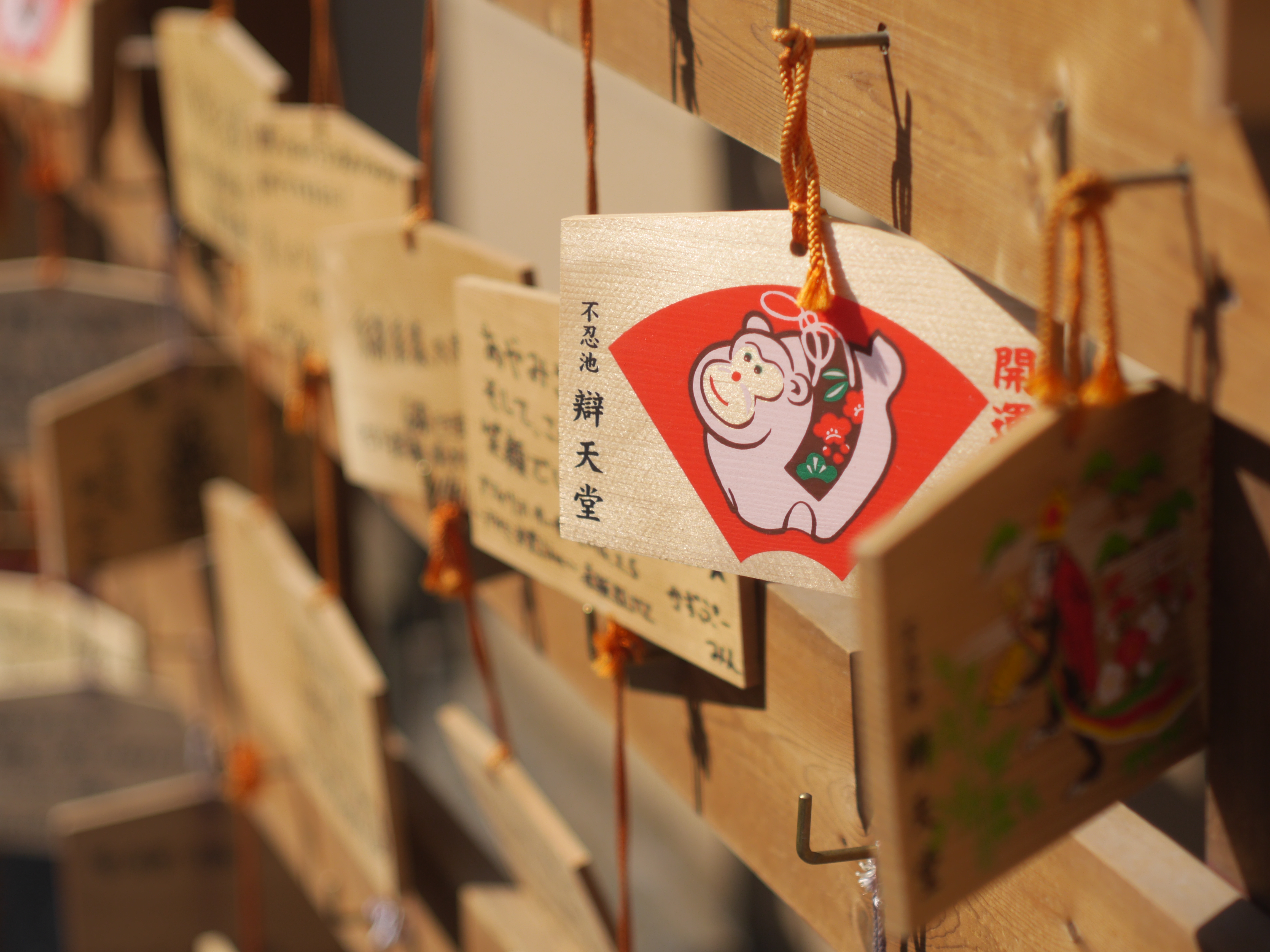 最短撮影距離の約1mで撮影。もう少し寄りたい所だ。DMC-GH3 / 1/4,000秒 / F2.8 / 0EV / ISO200 / 絞り優先AE / 55mm